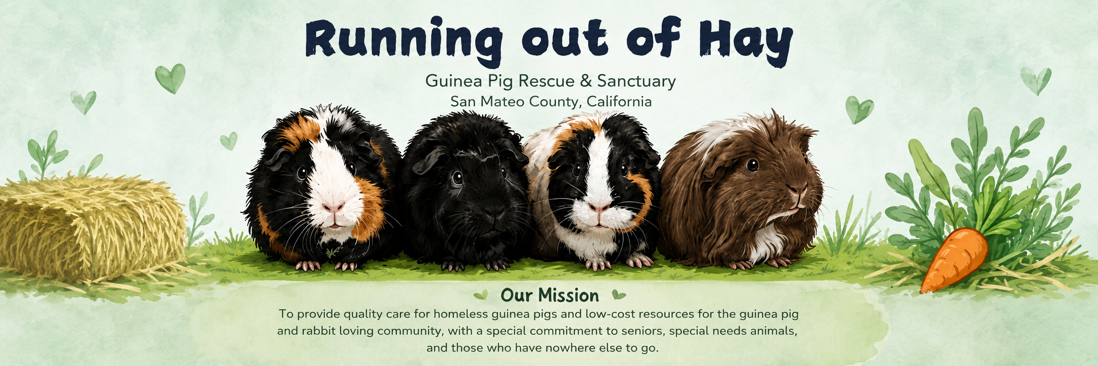 Running Out of Hay Guinea Pig Rescue and Sanctuary — providing care for homeless guinea pigs and low-cost resources for the community