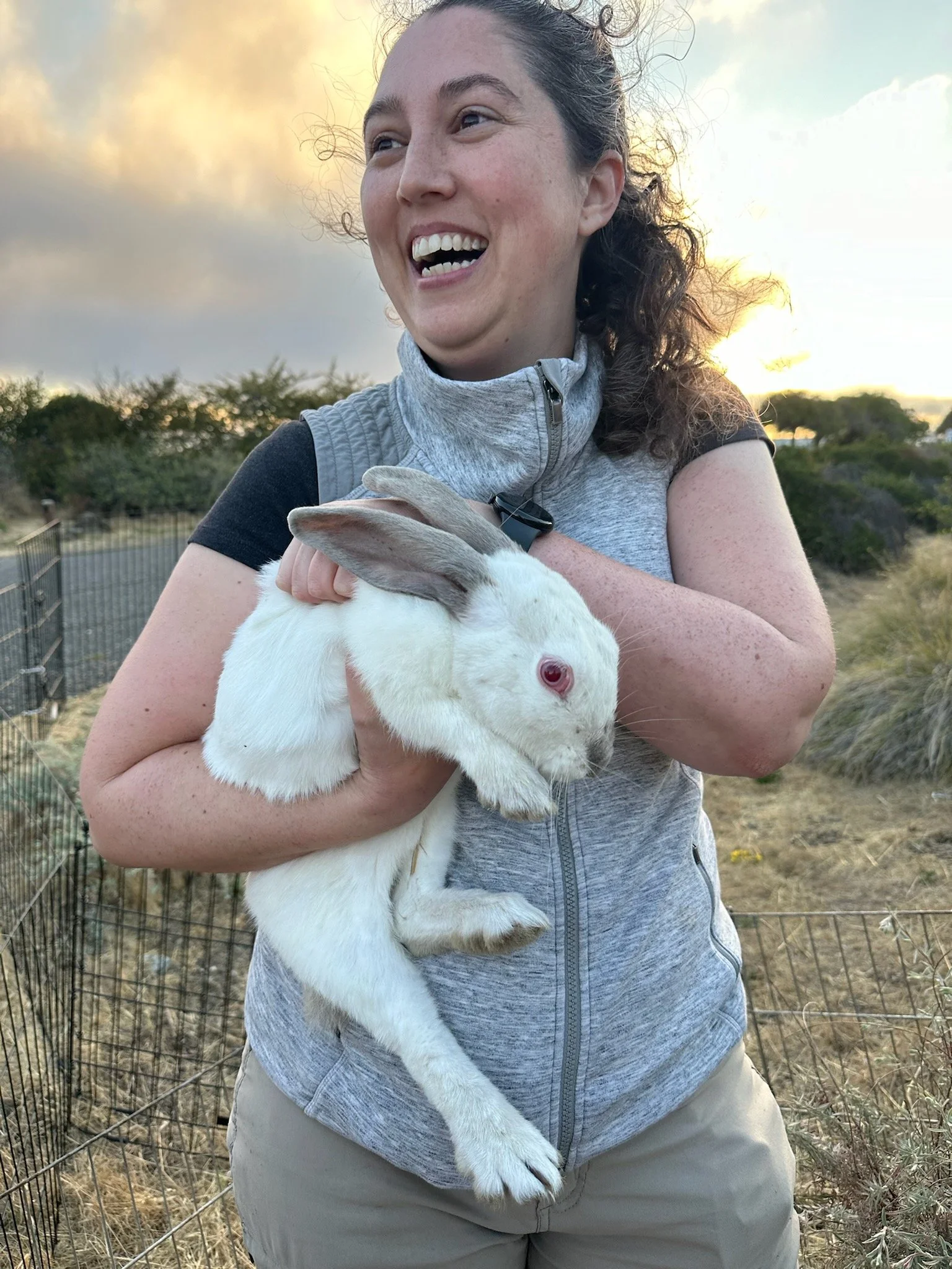 Rescued rabbit being held safely