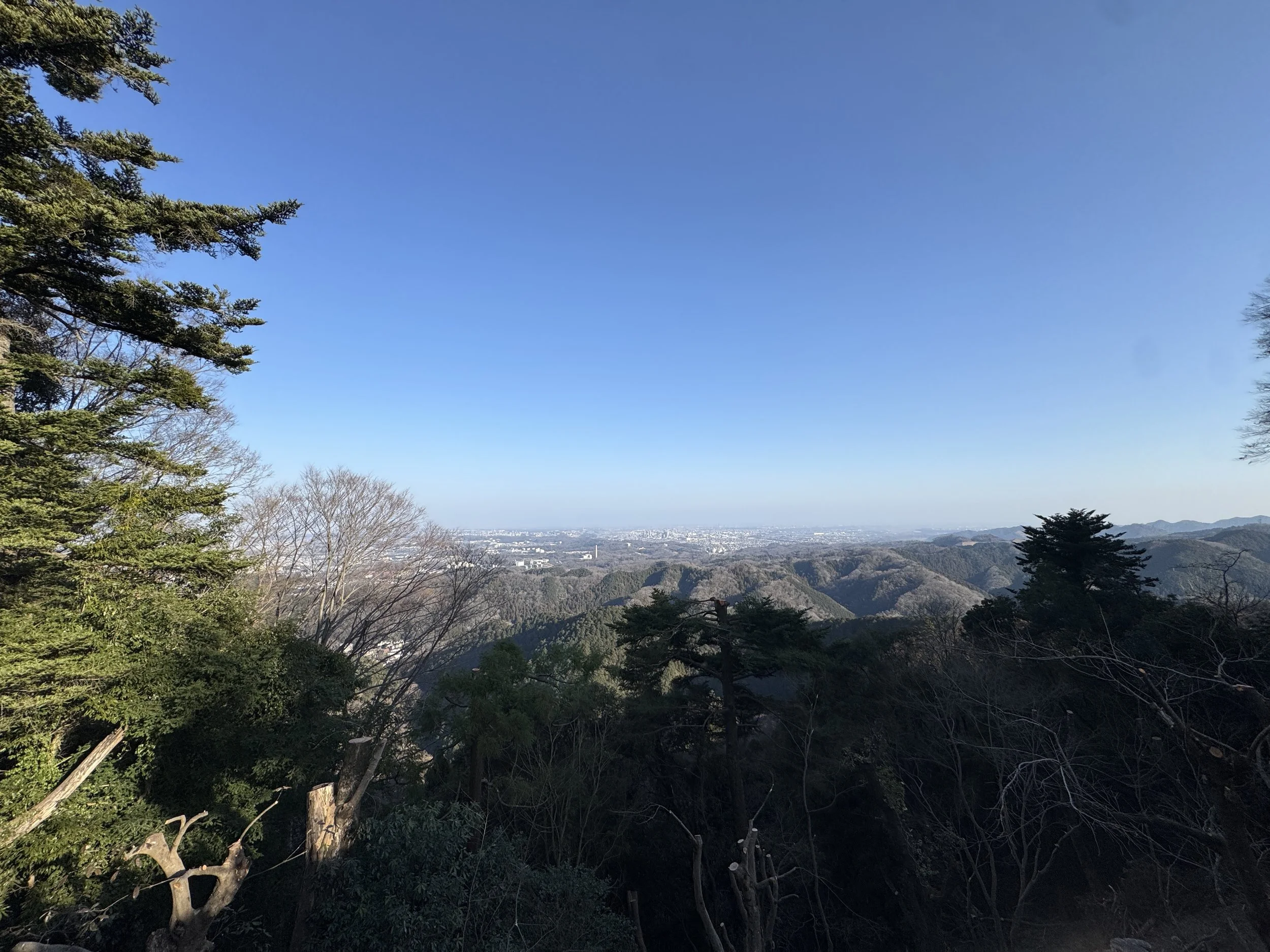 Frühlingsduft und Neubeginn