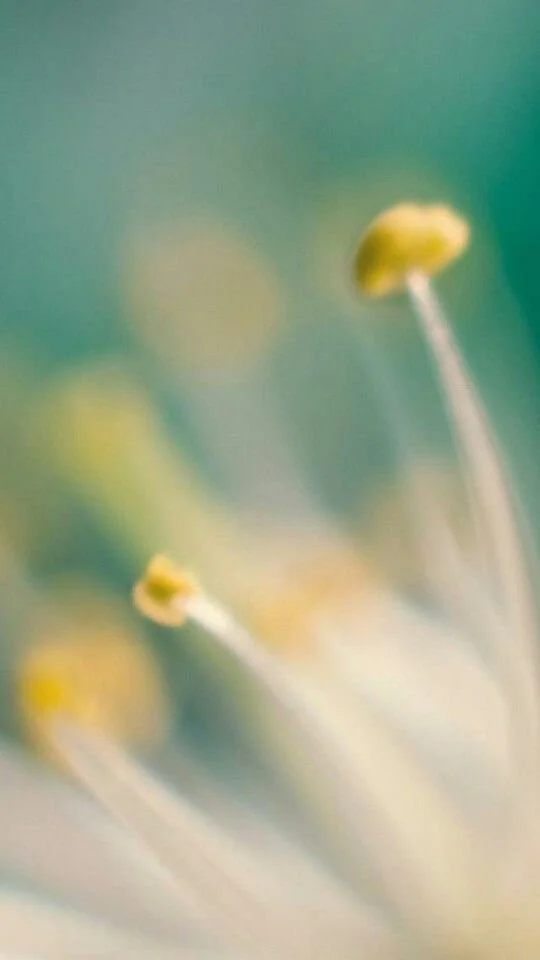 Hypnotherapy