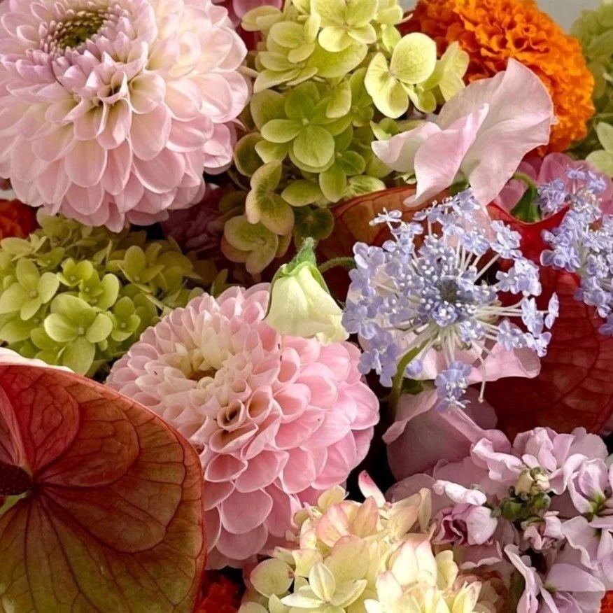 Close-up of various colorful flowers including pink dahlias, green hydrangeas, purple hydrangeas, orange marigolds, and pink bougainvillea.