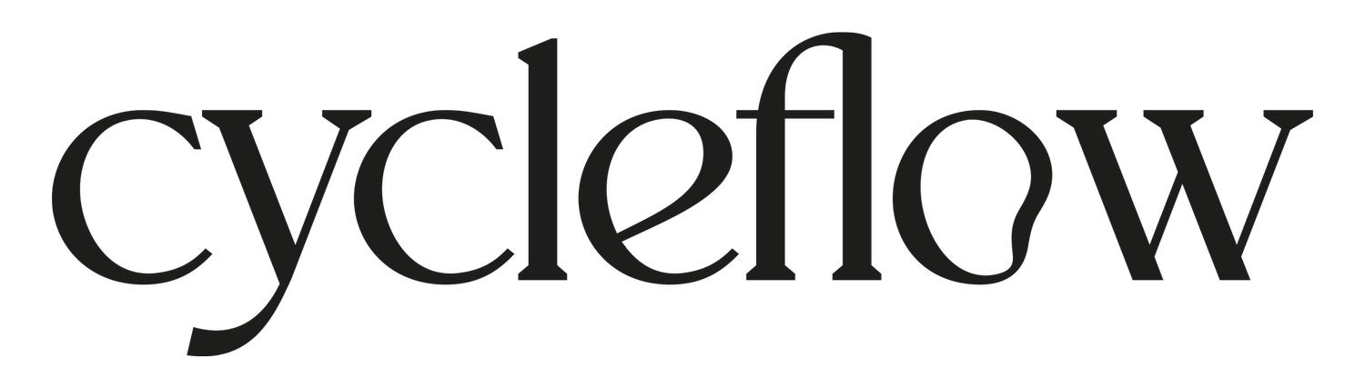CycleFlow