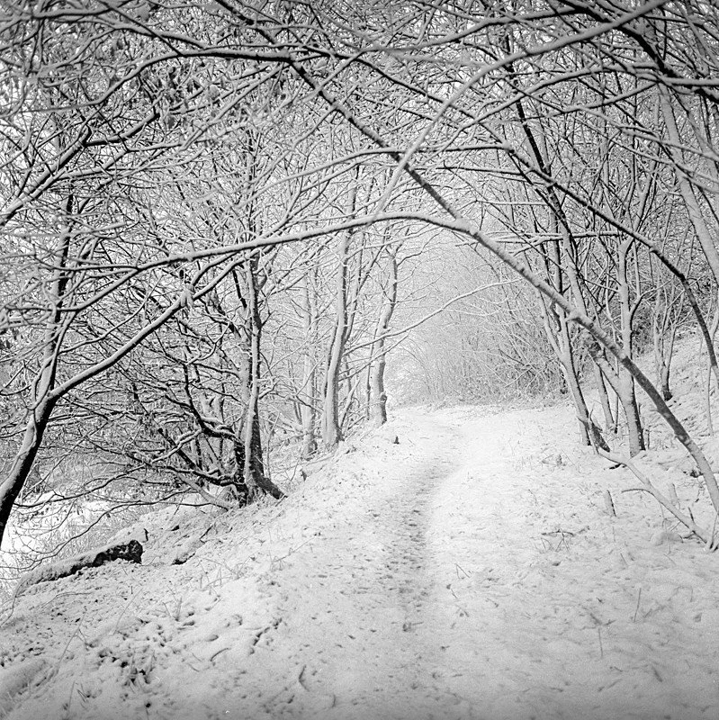 Monthly Meal Inspiration: January 2026