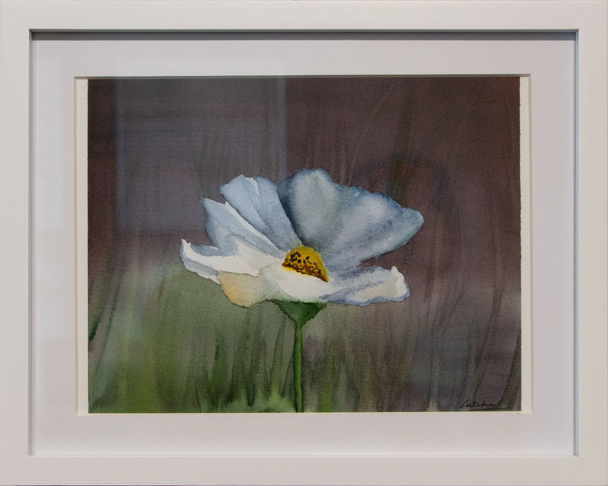   Cosmos in Bloom   
Gitika Toteja 
Watercolor Painting 
$125