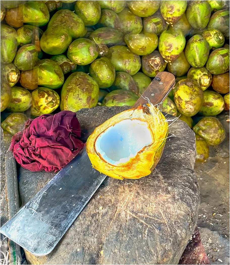  Tropical Refreshment   
Navin Bogg 
Photograph 
Sold