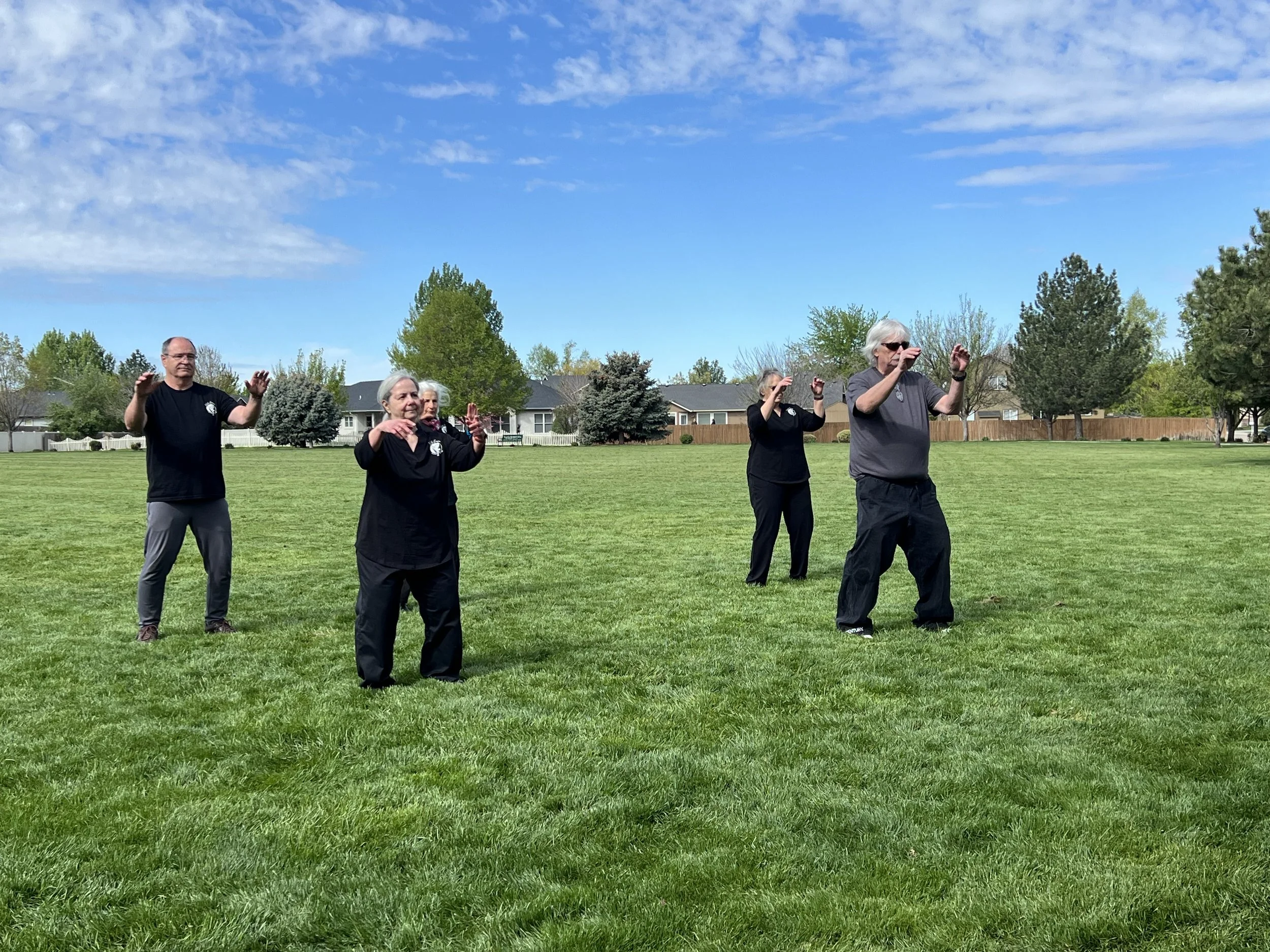 White Crane Tai Chi performed the lovely Temple Form this year. 