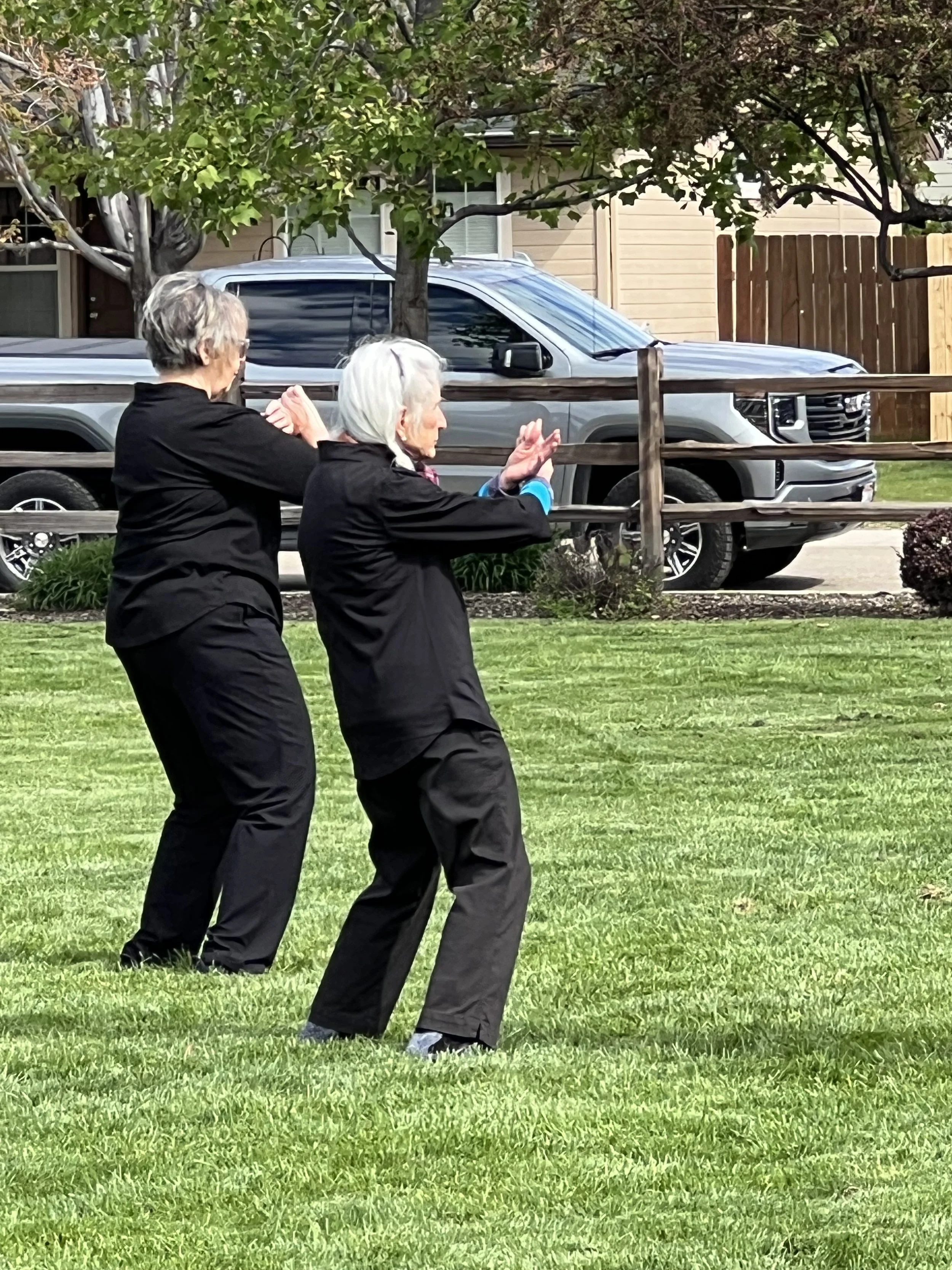 White Crane's Murray Weston (foreground) and fellow student performing the Temple Form. 