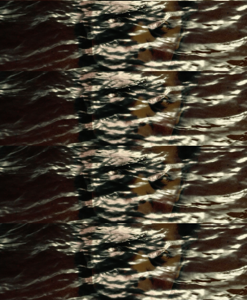 Screenshot 2026-06-29 at 4.08.39 PM.png