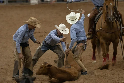 Big Bend Ranch Rodeo