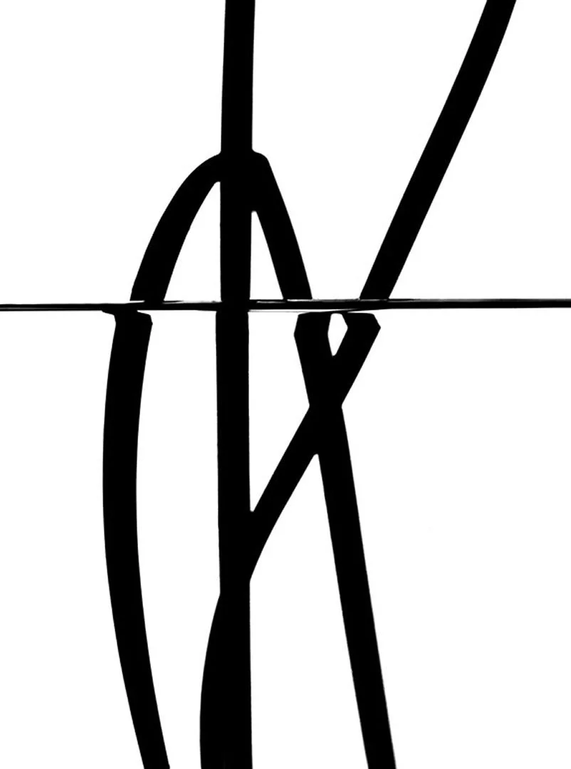 liri.004.jpg