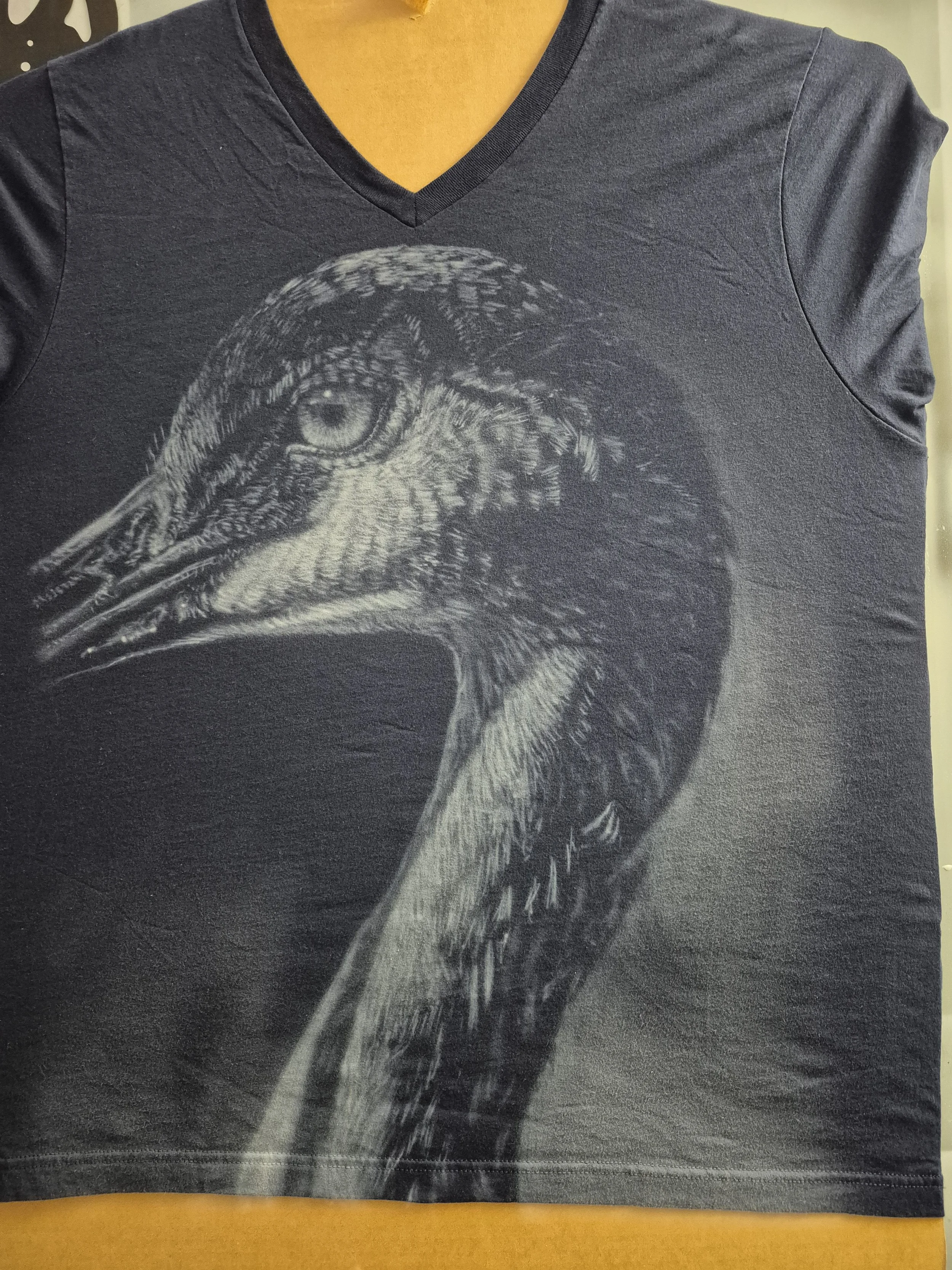 Sandhill Crane 