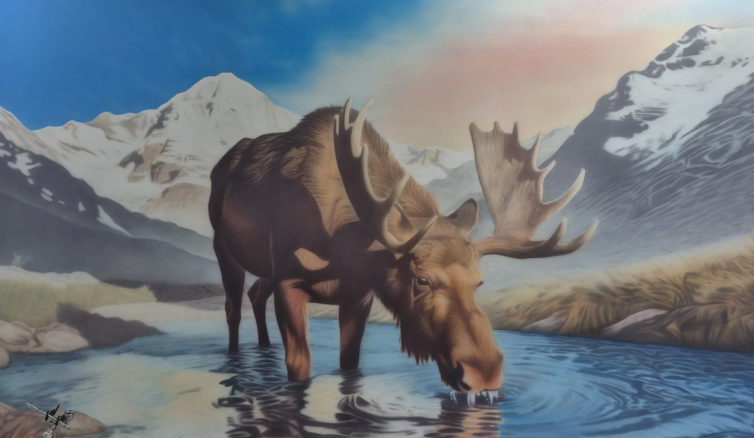 Moose on the loose