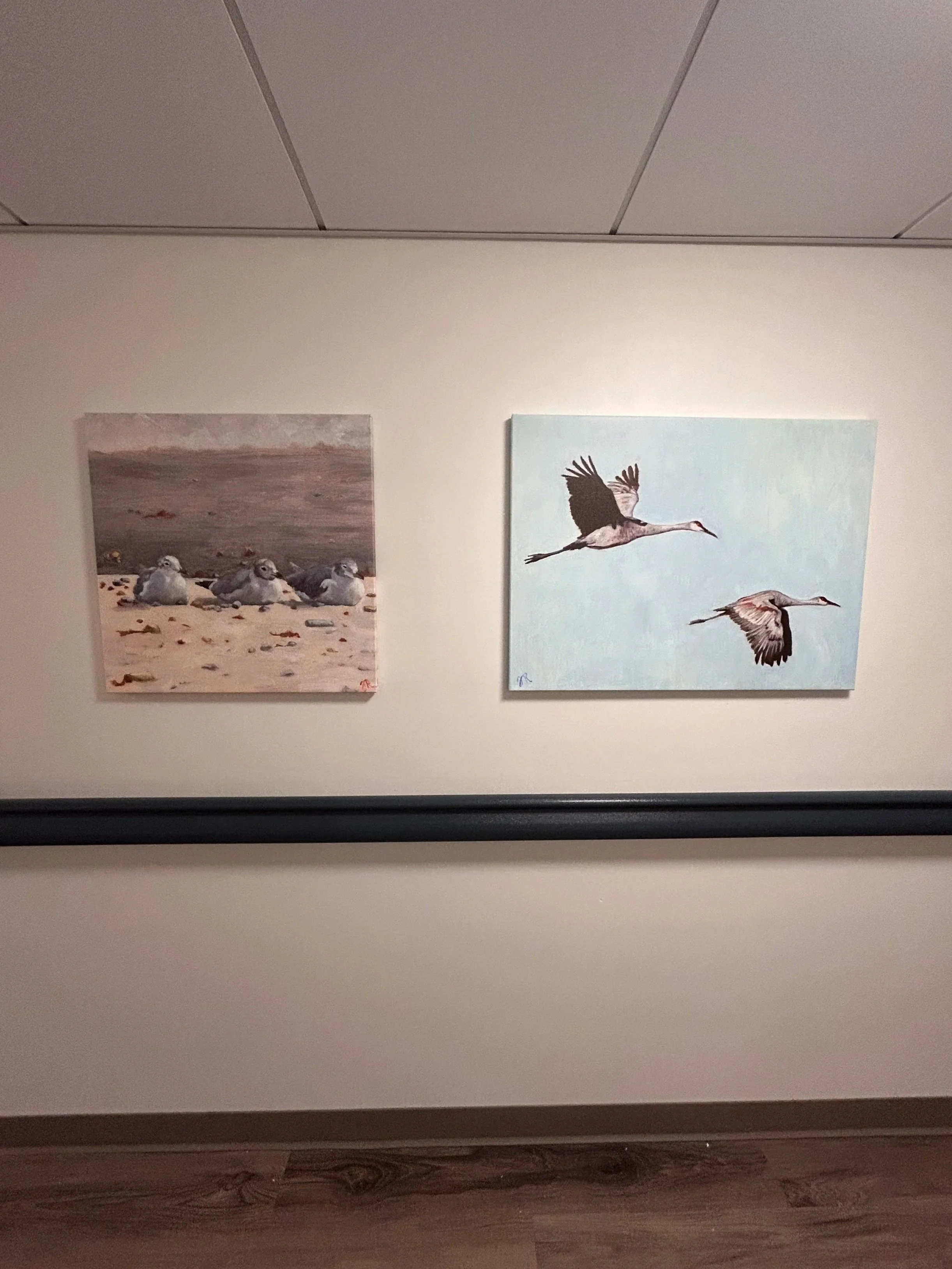 Judith Robichaud