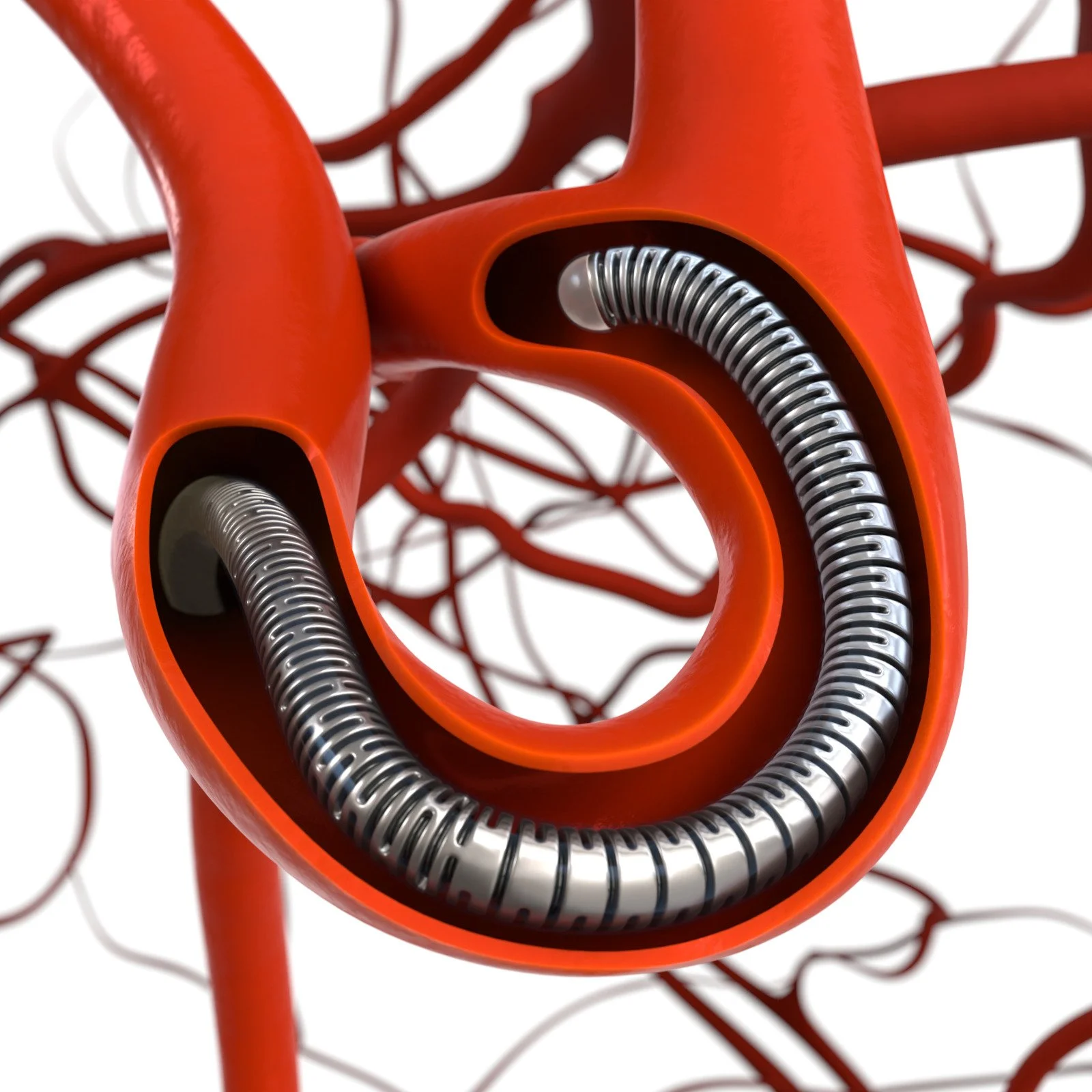 Vessel Selection Web Graphic 5-3-23.jpg