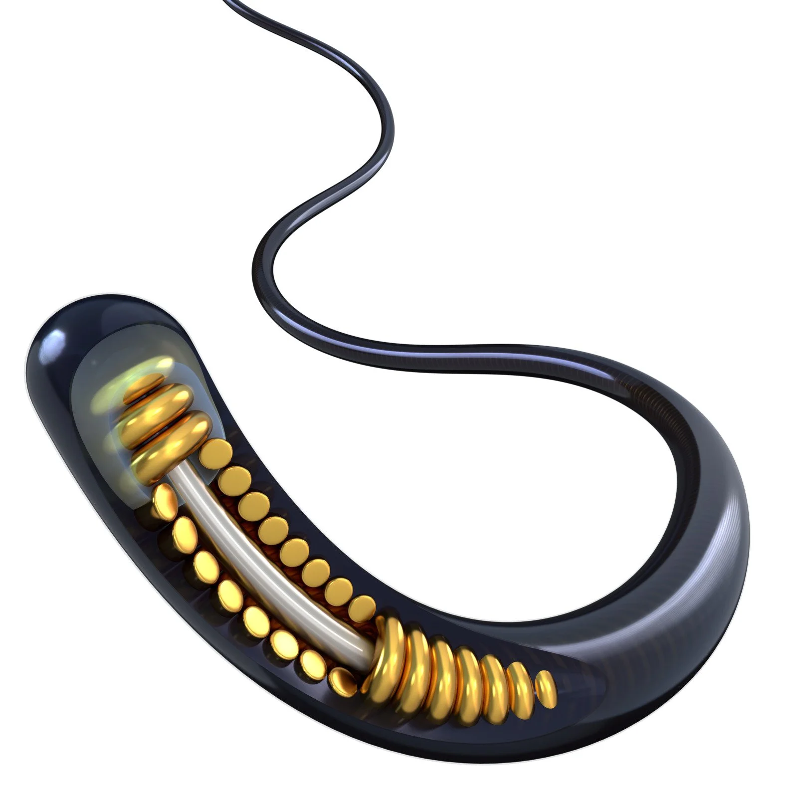Cardio Wire-cutaway-sm.jpg