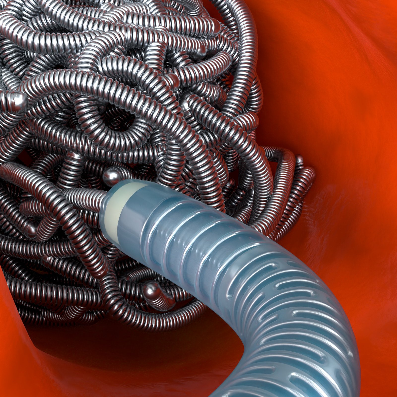 PL17 Coiling Web Image 8-14-23.jpg