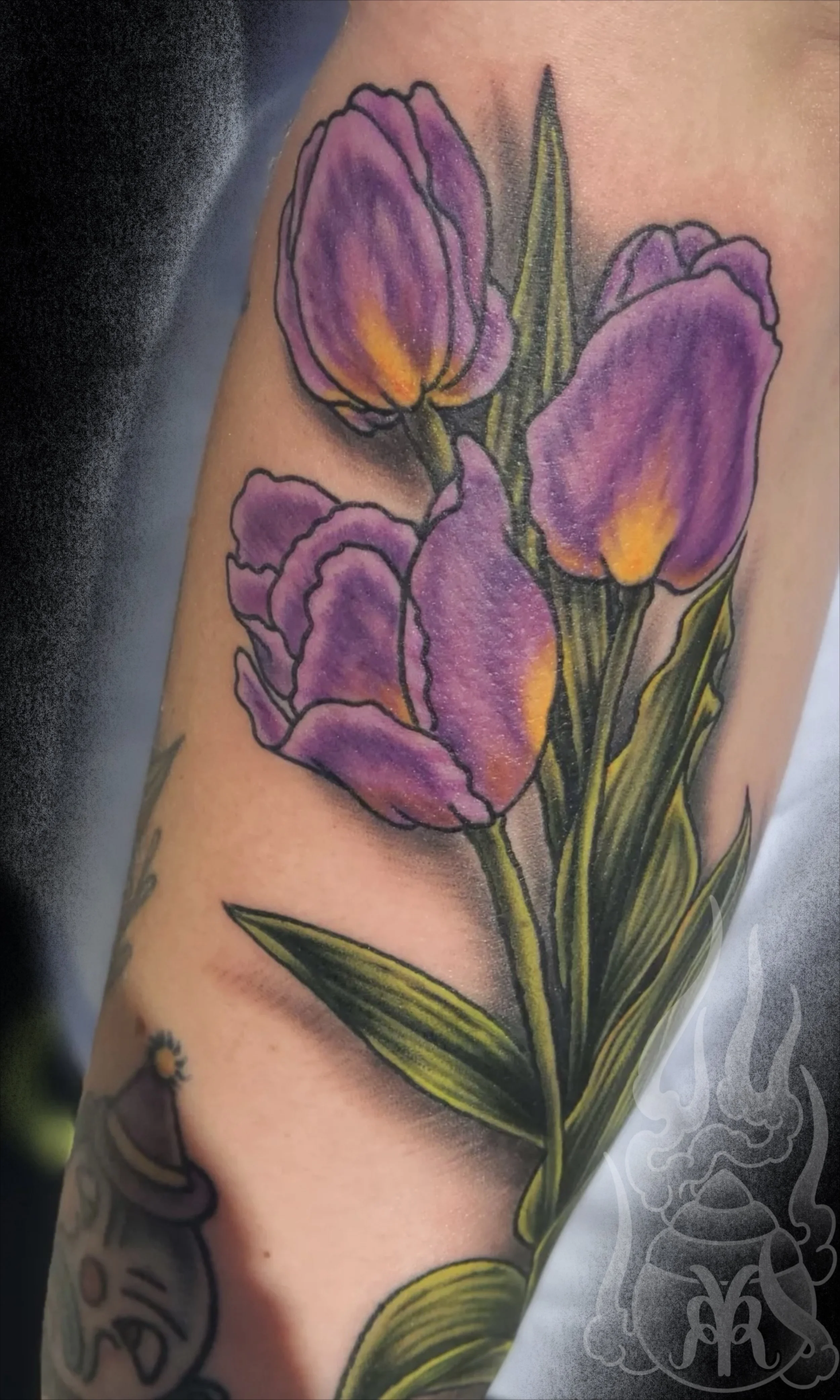 Tulips.jpg