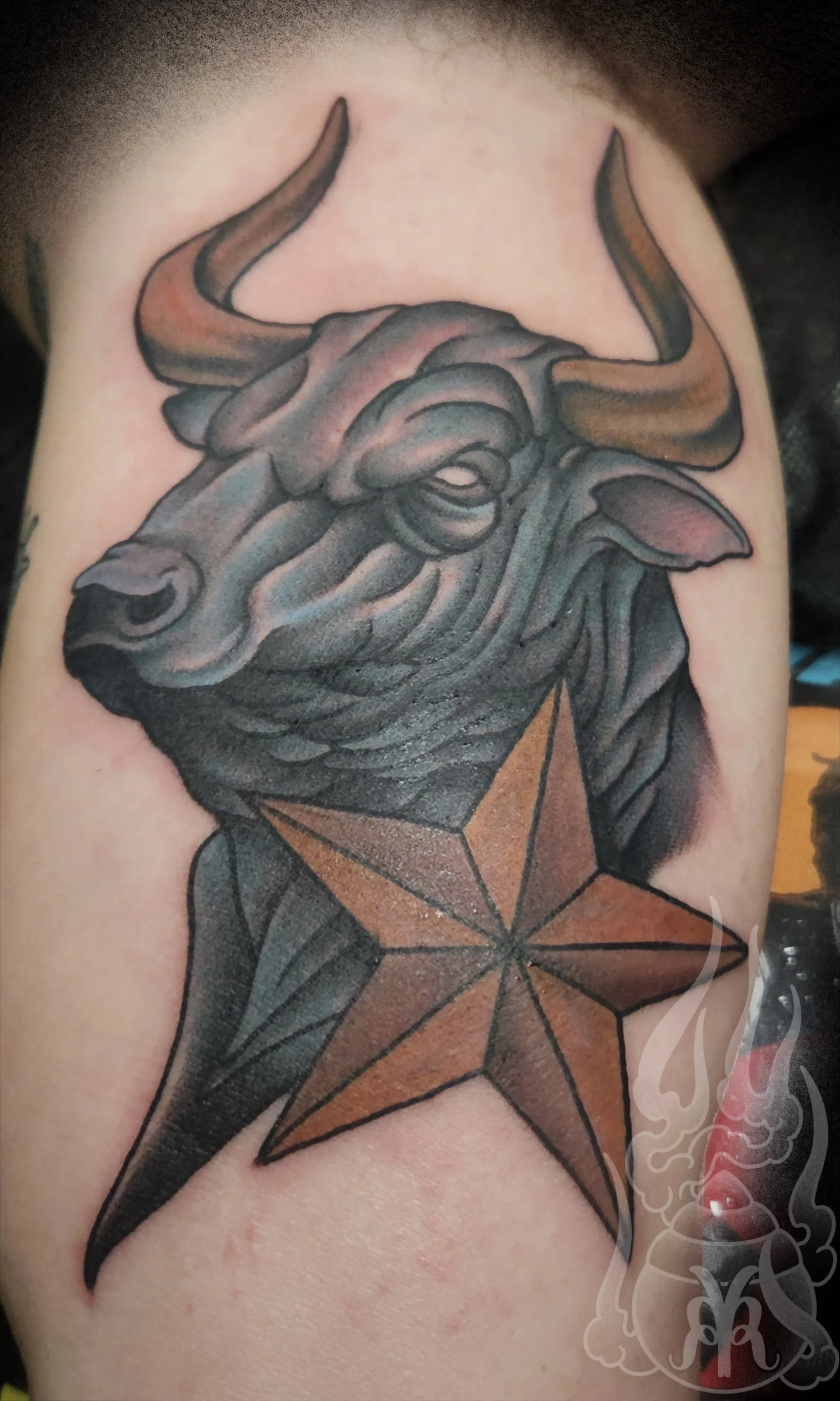 Bull&TexasStar.jpg