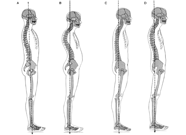 BODY'S PILATES