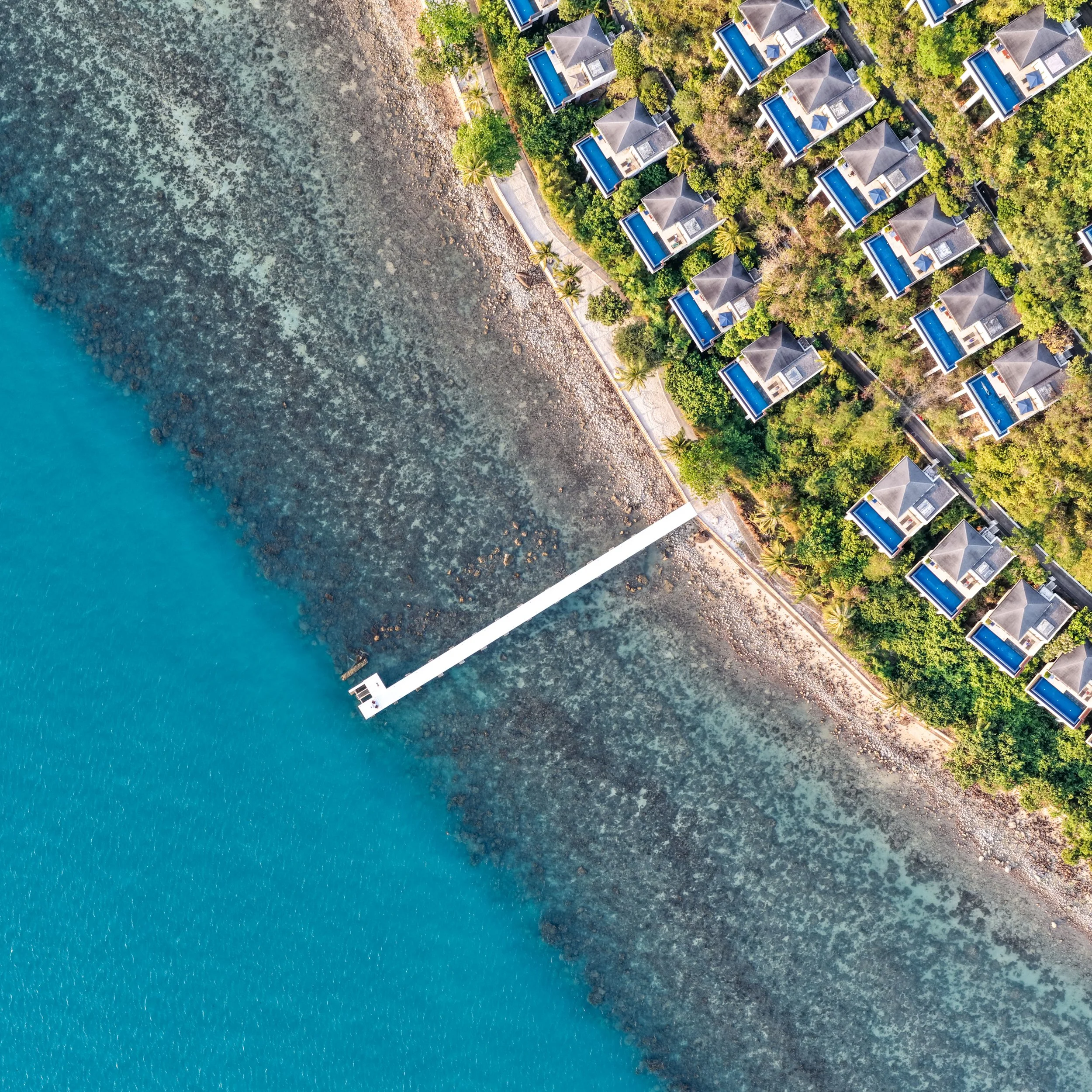 An aerial view of a shoreline with clear blue water, rocky beach, a paved walking path lined with palm trees, and a row of modern houses with private pools among green trees.