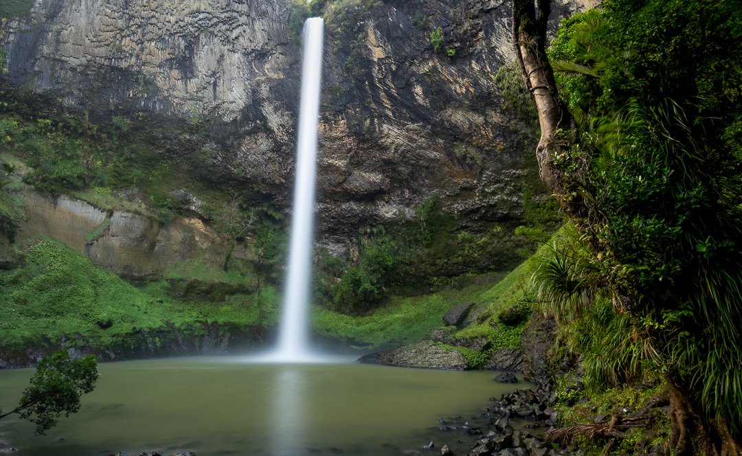 _NZ81244.jpg