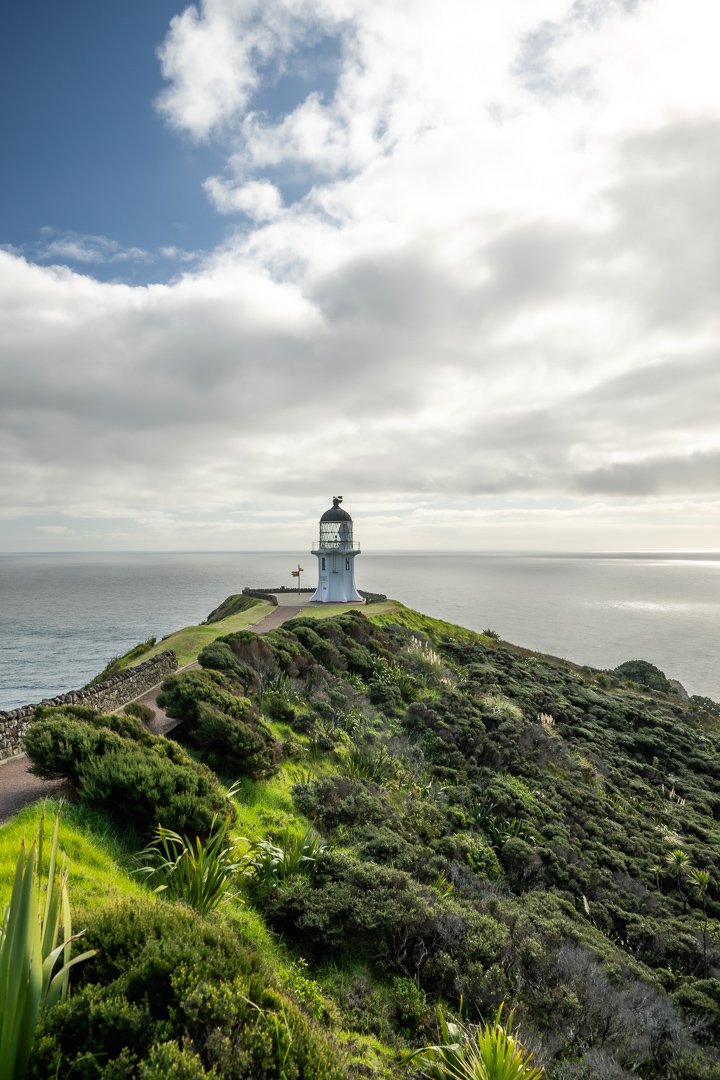 _NZ80765.jpg