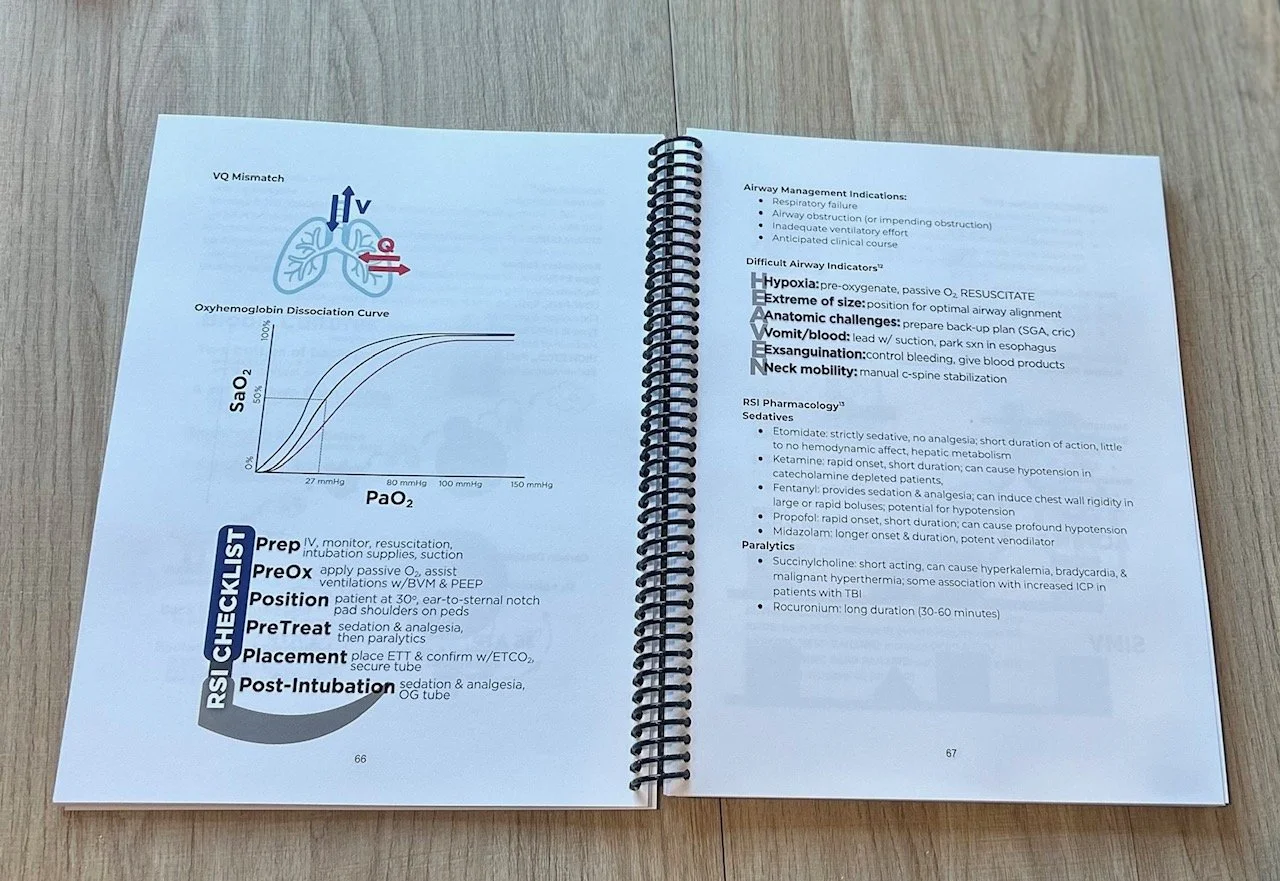 Flight Ready with Nurse Gwenny companion book.jpg