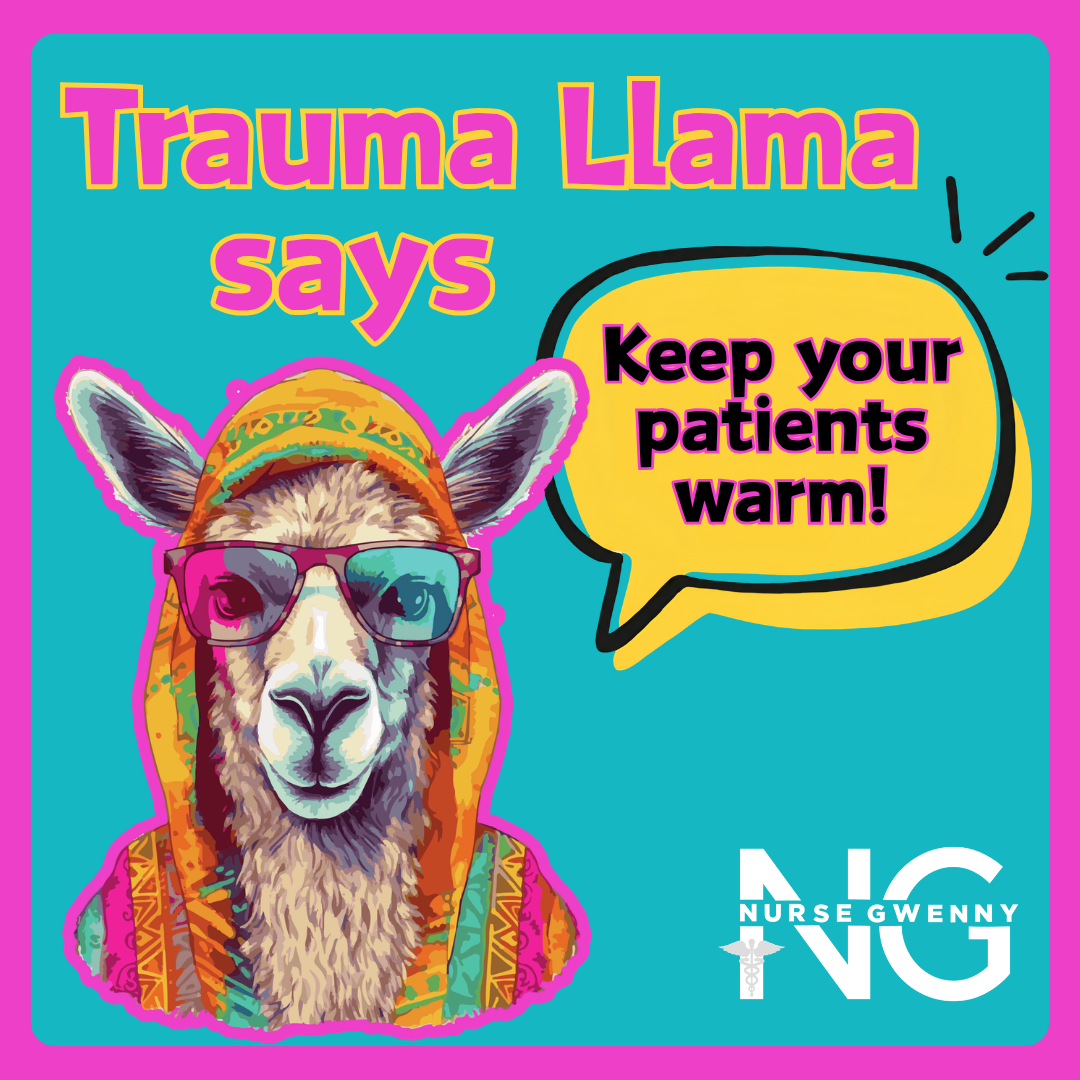Trauma Llama Nurse Gwenny sticker.png