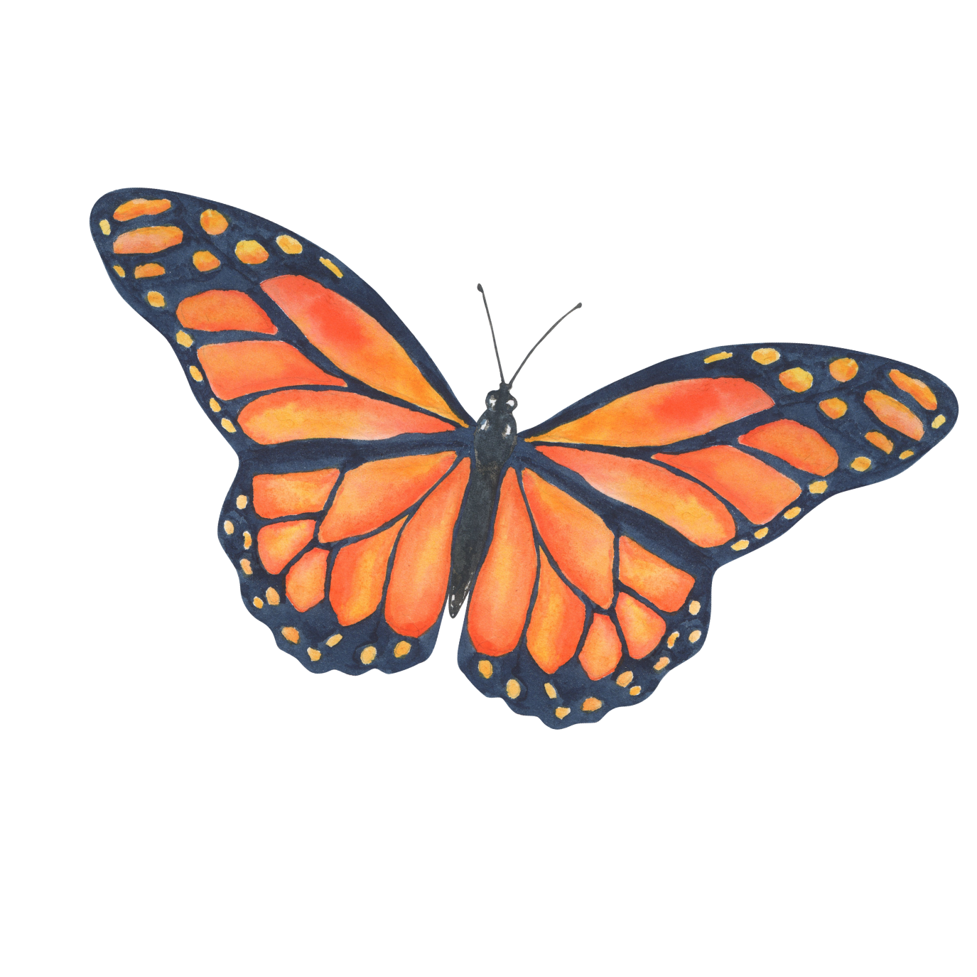 bremerton-campus-treetop-village