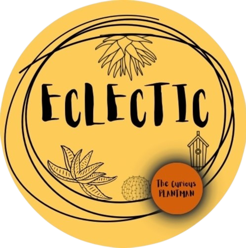 Eclectic - The curious plant man
