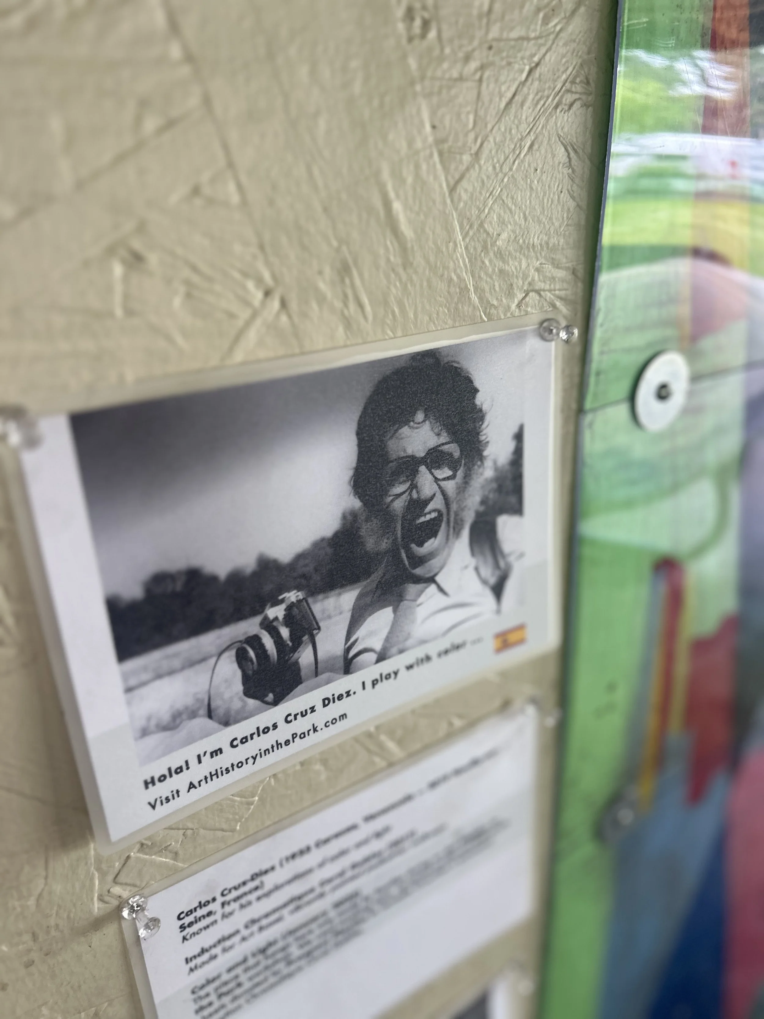 Living Gallery Picnic at Snyder Park