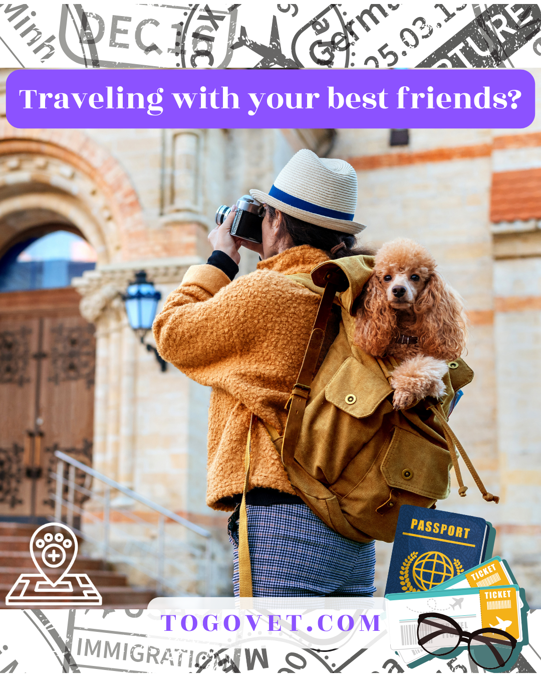 Planning a Trip with Your Animal? Navigating Travel Health Certificates with ToGo Vet mobile veterinarians