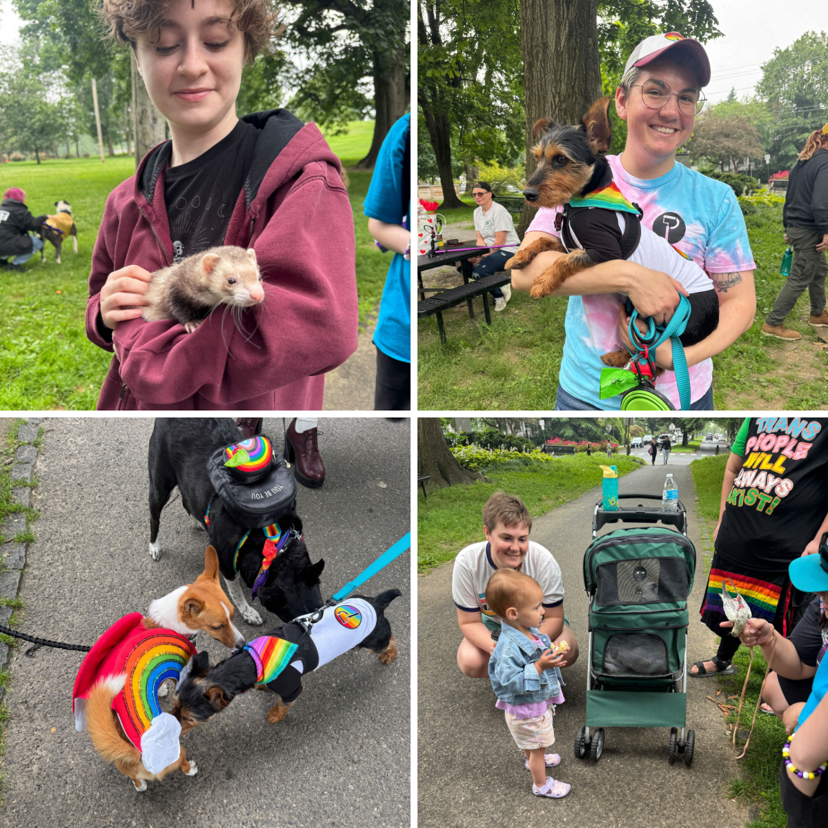 Pet Parade