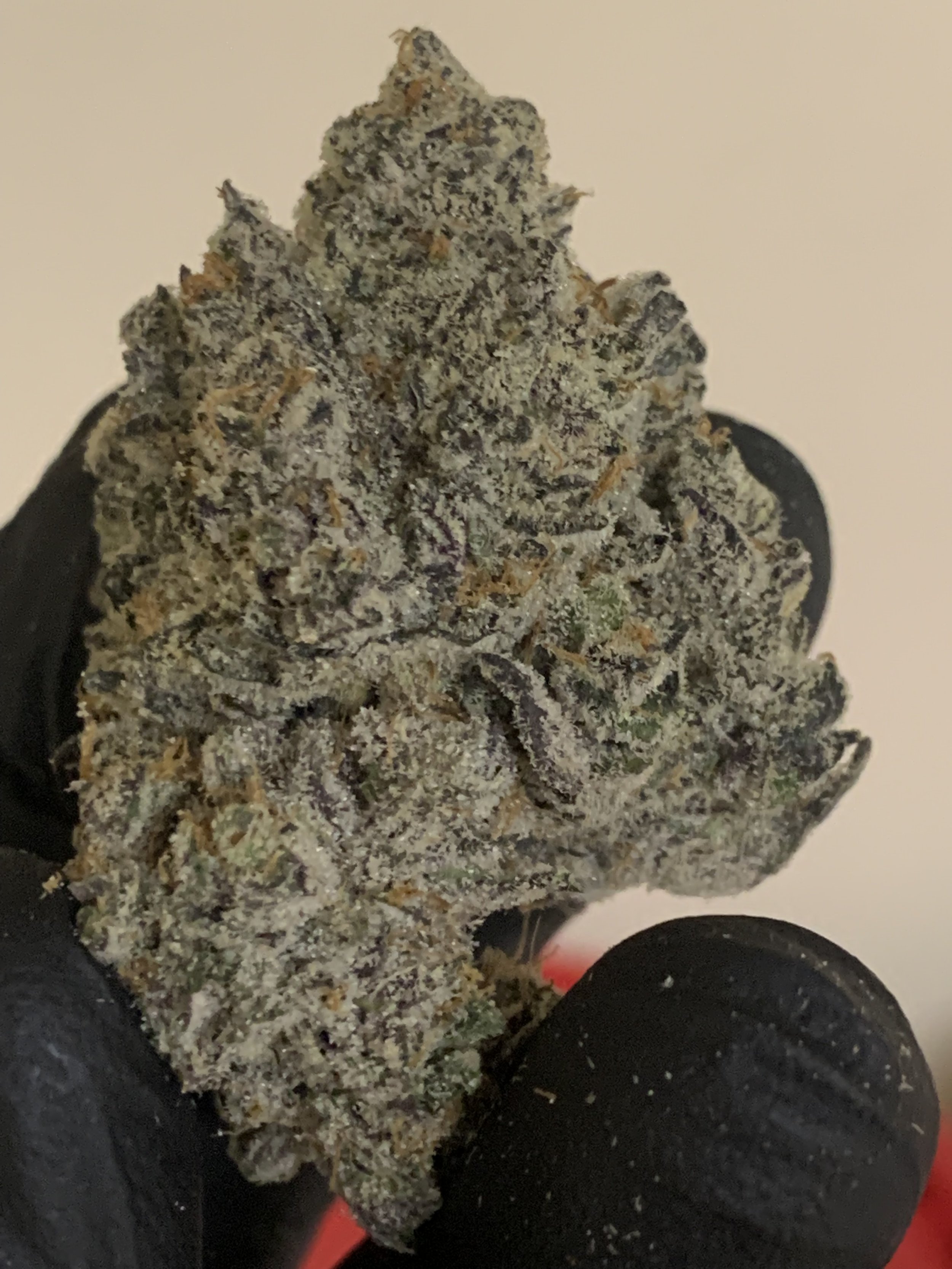 Lifted Cannabis In-house Flower