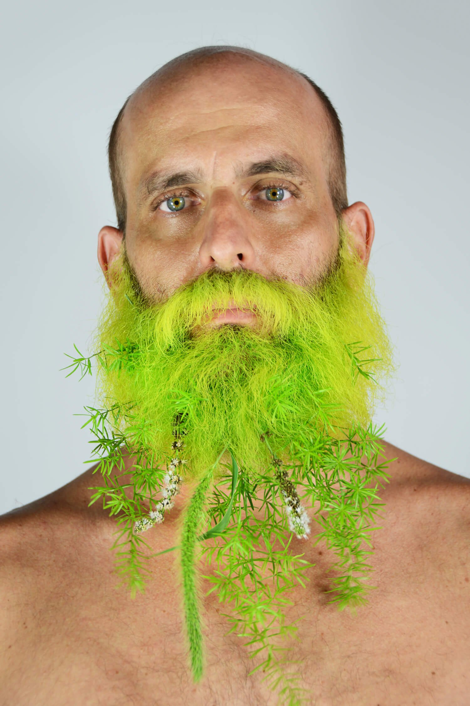 Forest_Beard.jpg