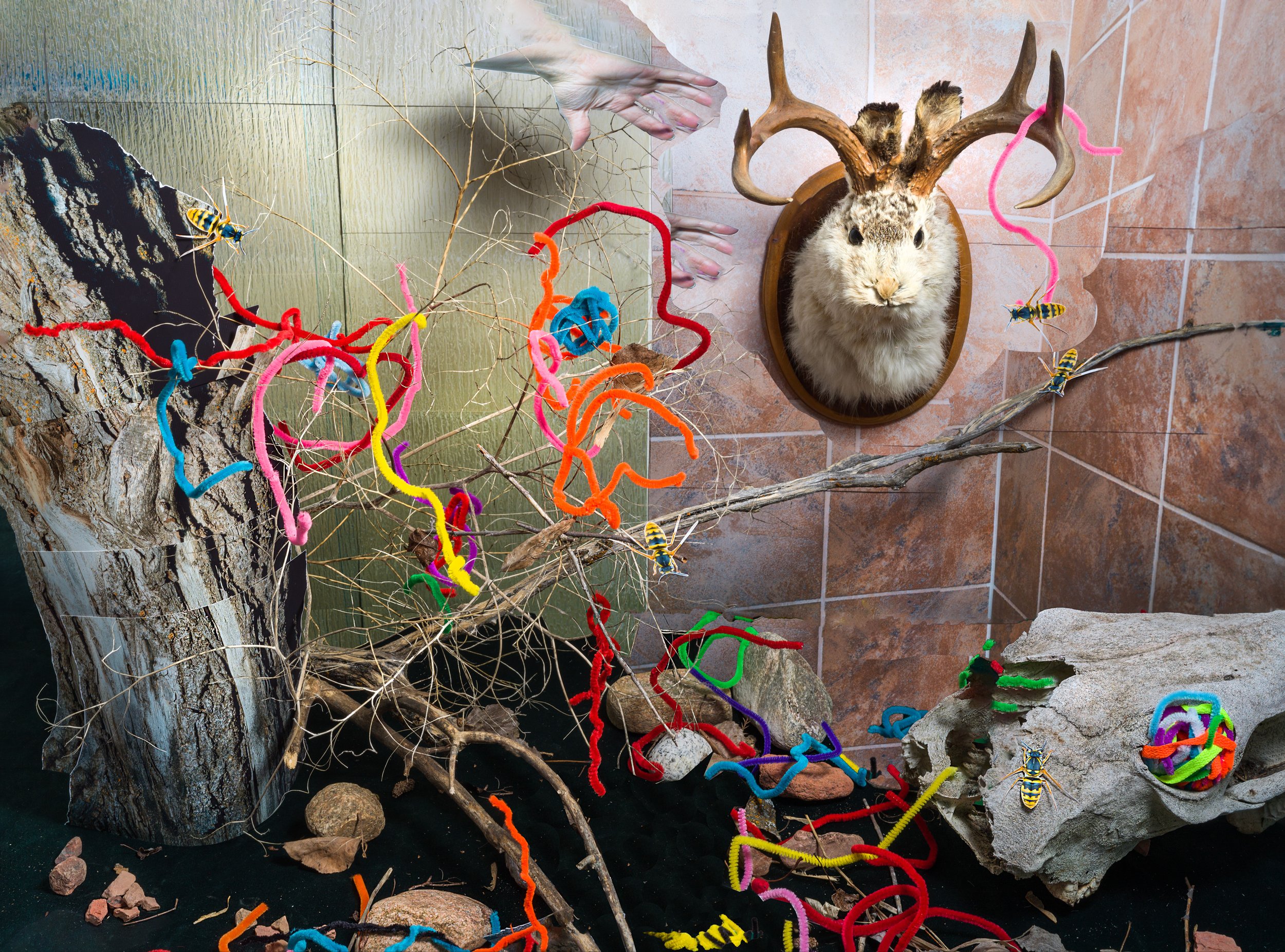 14_I_dream_of_deer_in_an_enchanted_forest_27x20_archival_pigment_print_2023.jpg