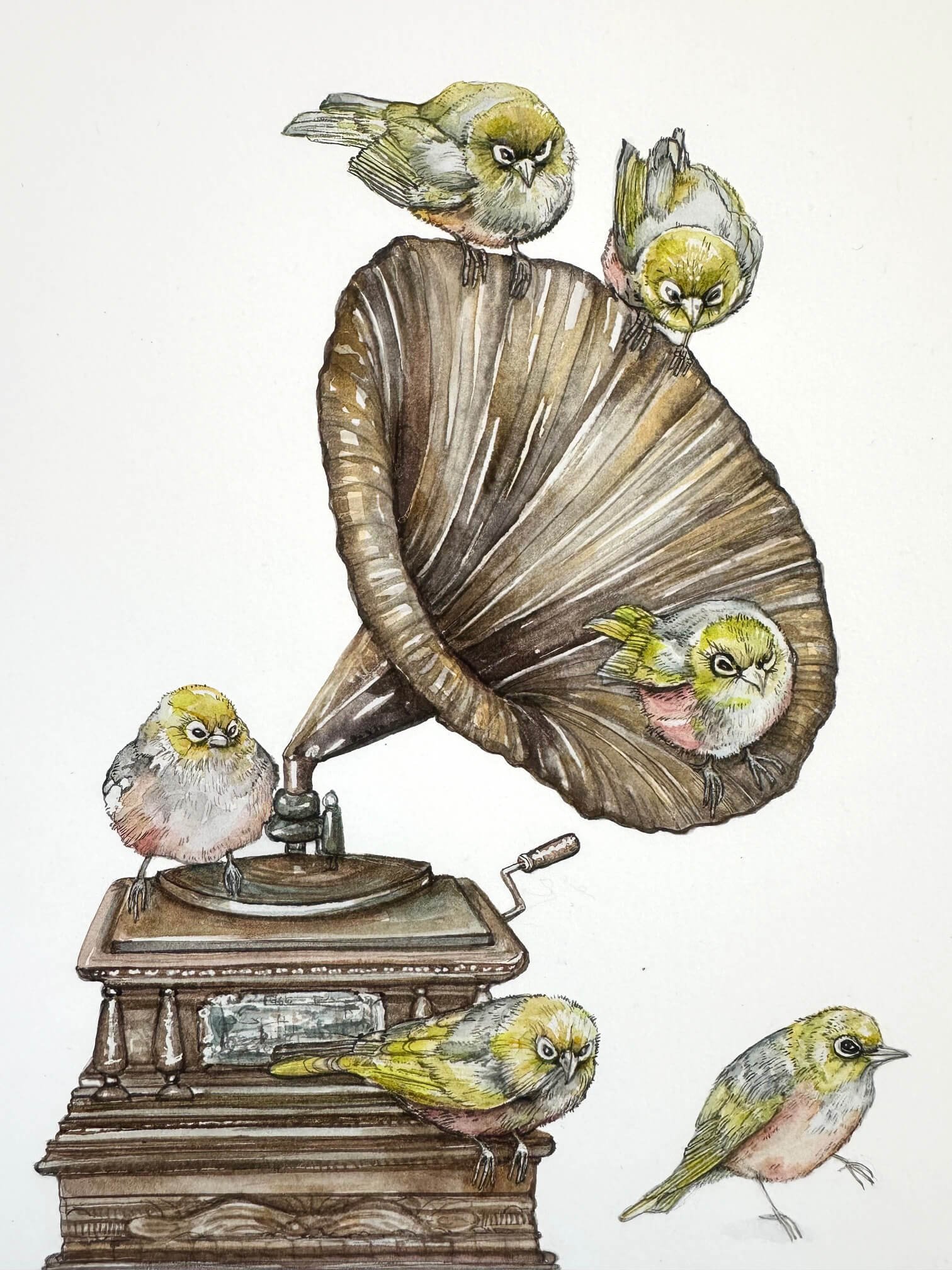 Silver_Eyes_Tauhou_and_Gramophone_.jpg