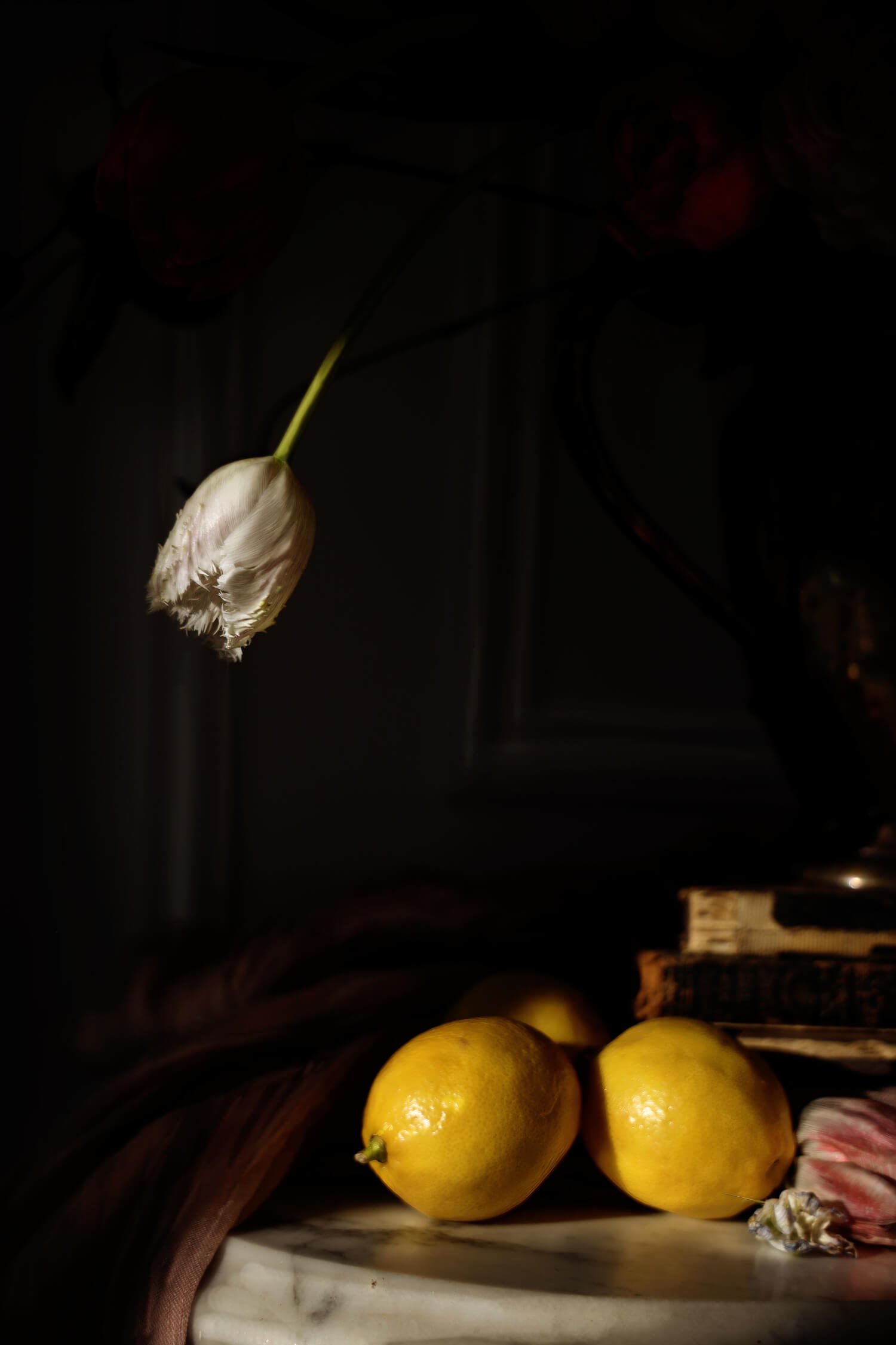 3A4A8900cg.jpg