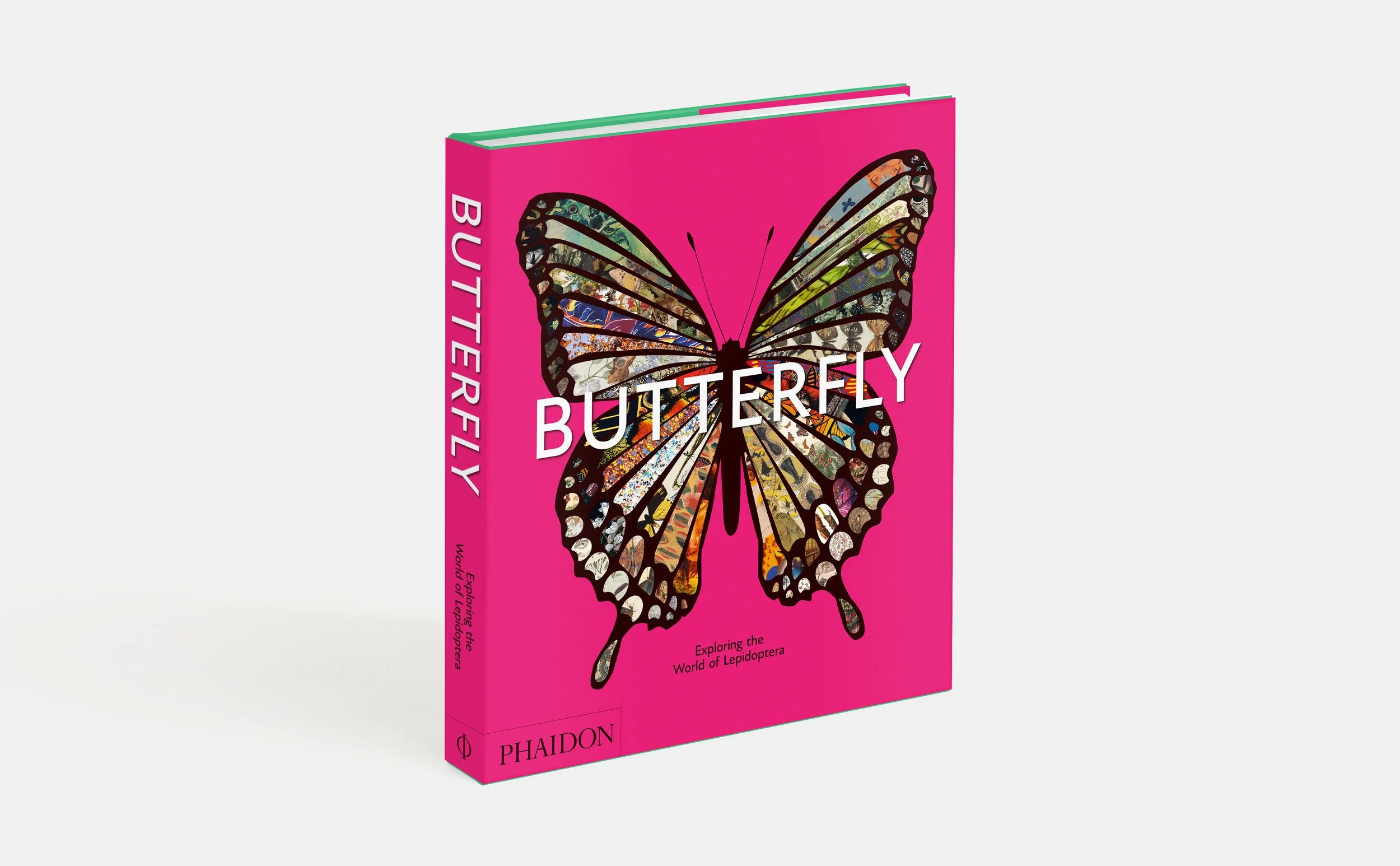 Phaidon Announces Butterfly: Exploring the World of Lepidoptera, a Visual Survey Celebrating the Beauty of Butterflies and Moths Across Art, History, Science, and Culture