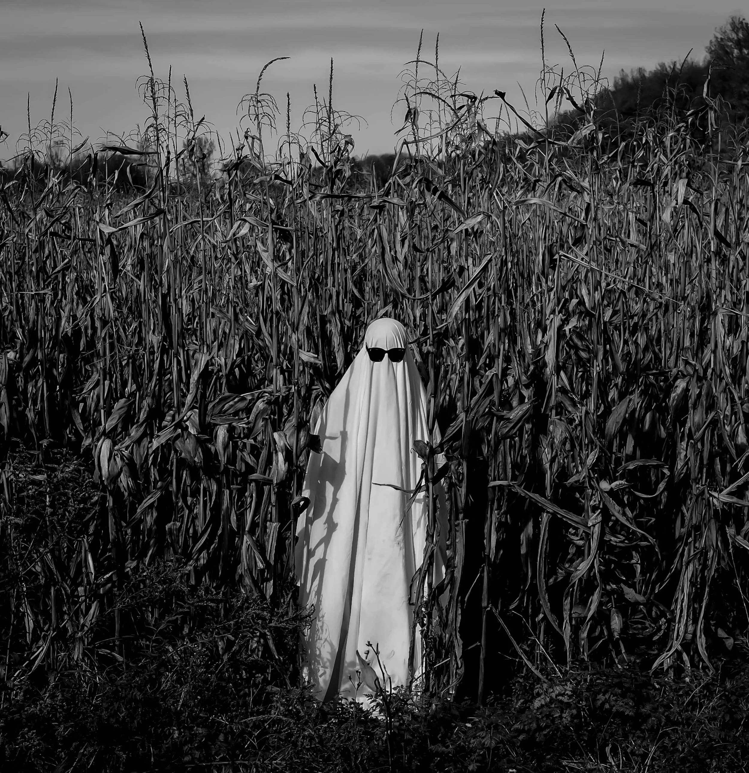 BW_ghost_in_cornfield.jpg