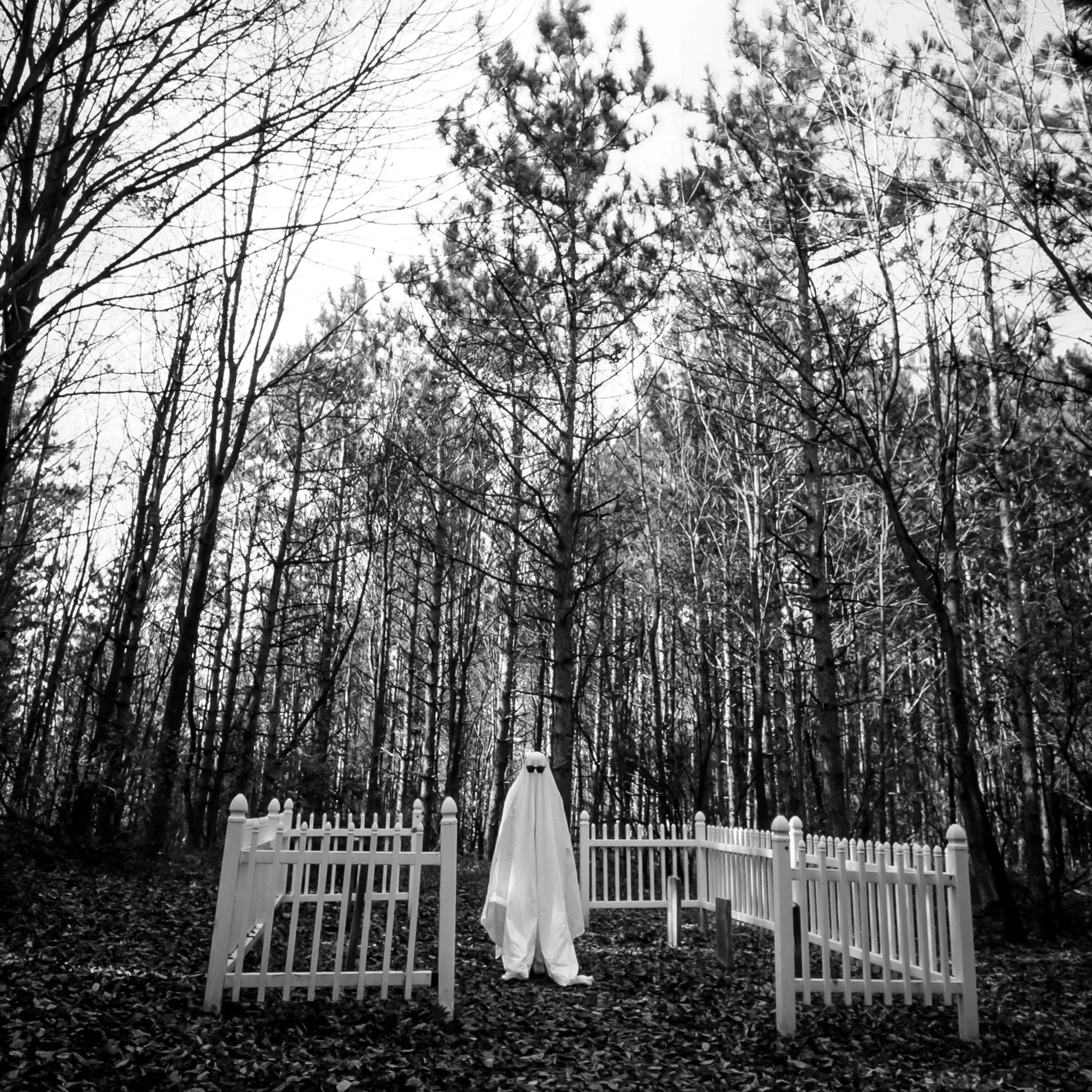 BW_gravesite_1_of_1.jpg