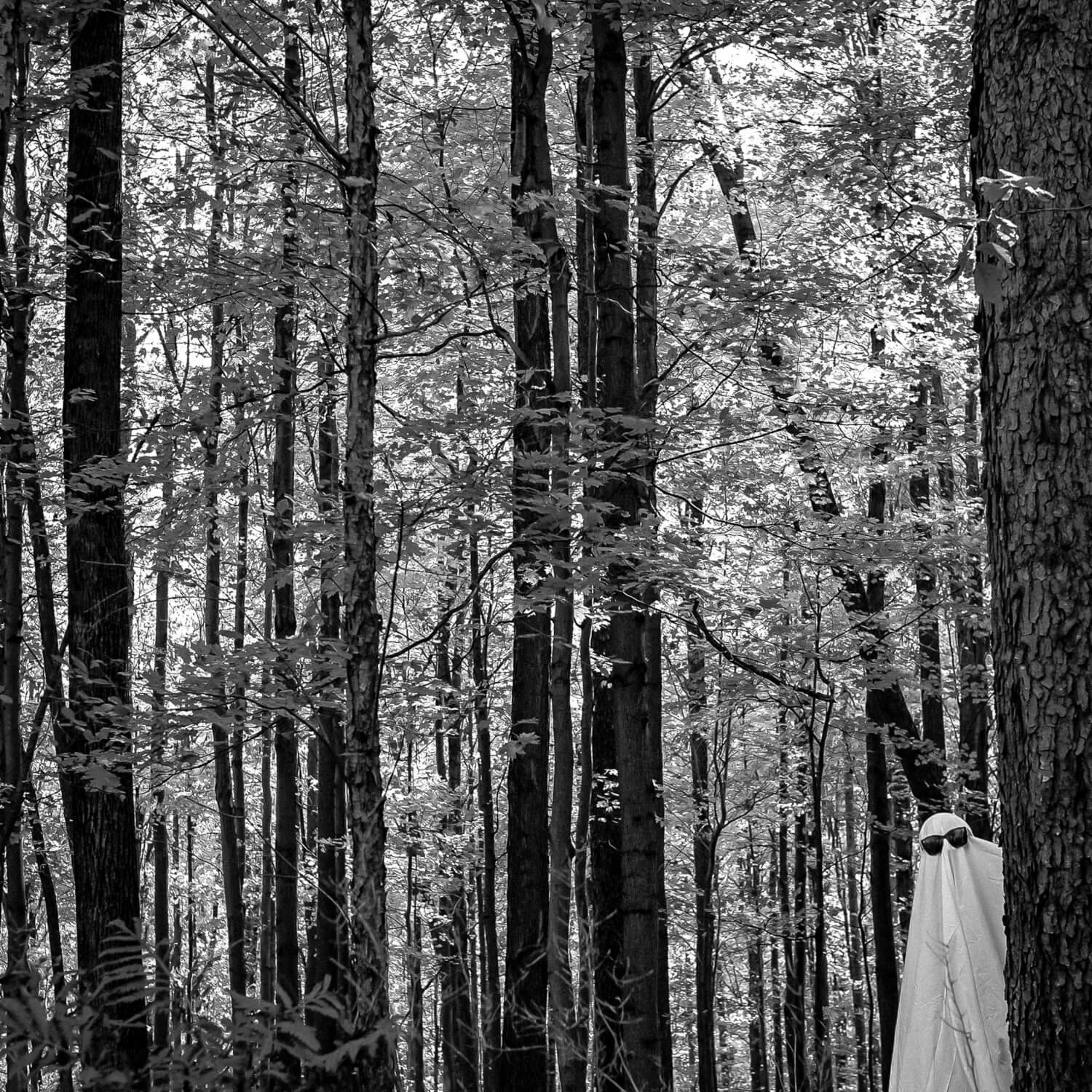 BW_hiding_1_of_1.jpg