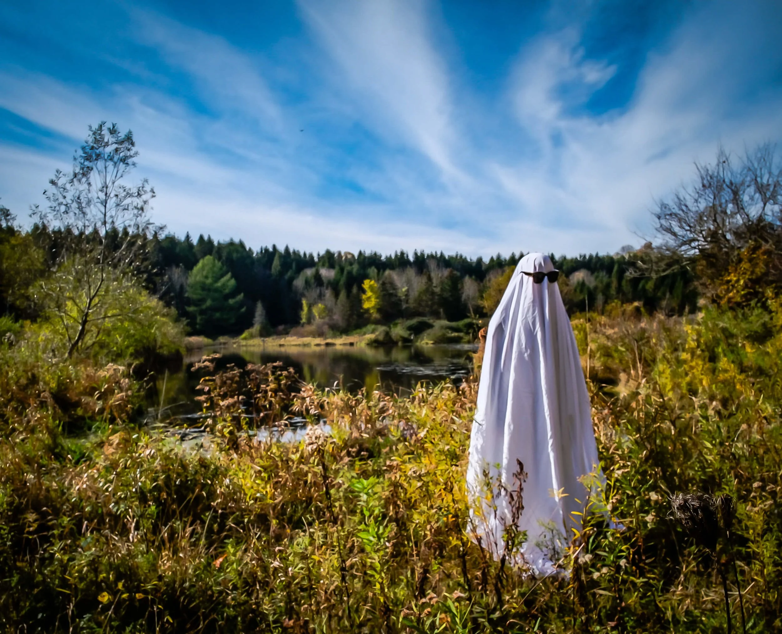 ghost_at_pond.jpg