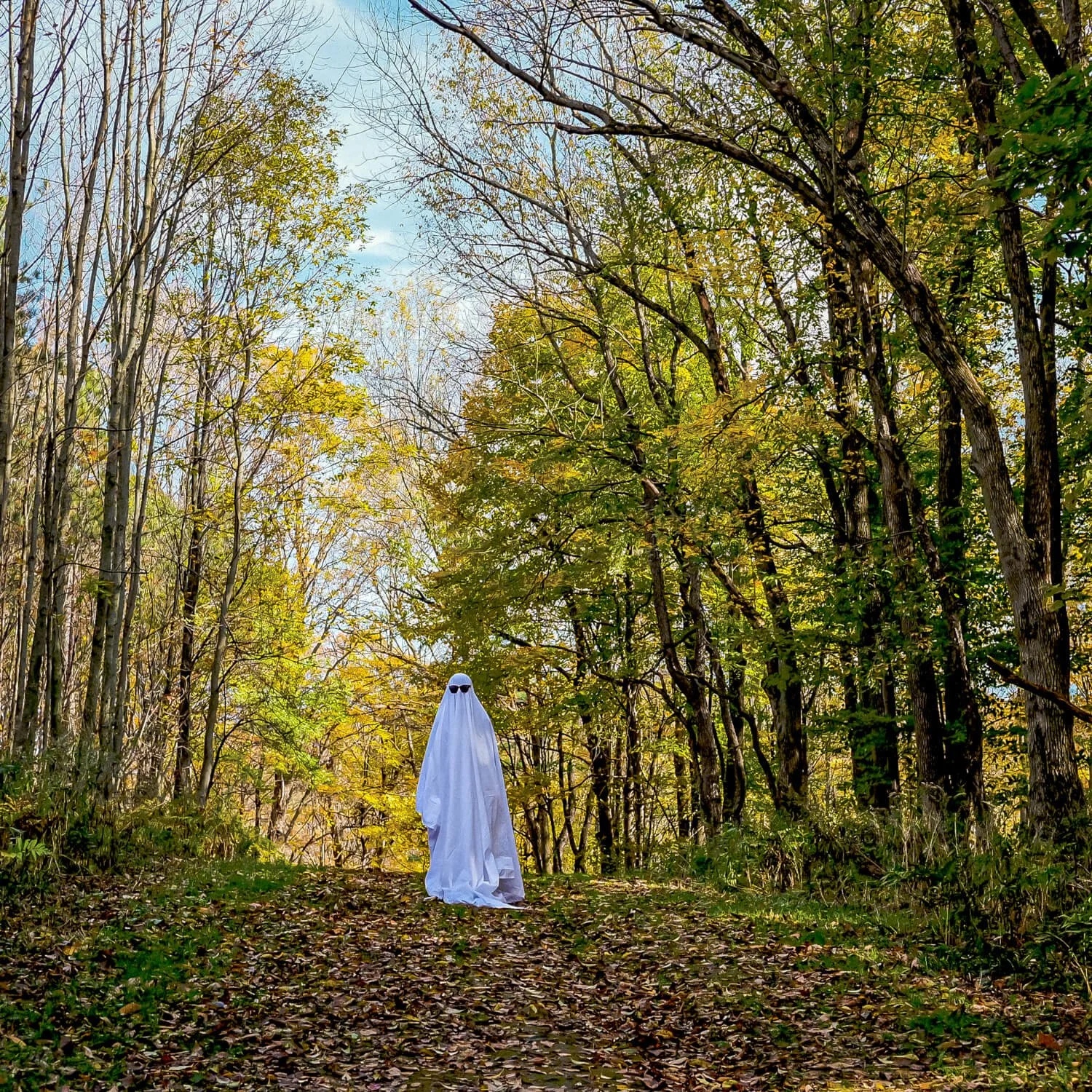 ghost_on_hill_with_leaves.jpg