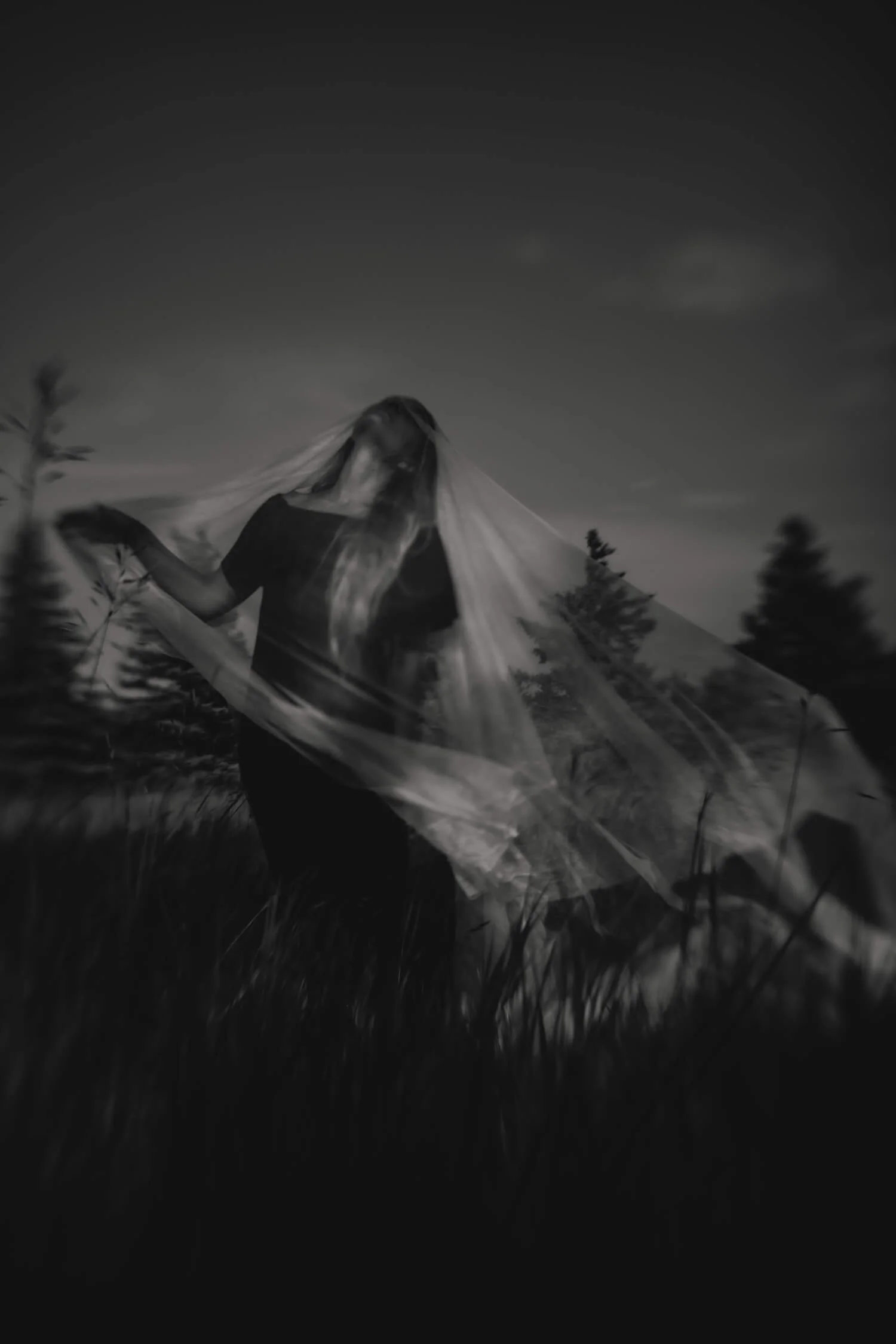 2.TheVeil.Rebecca.Walker.Photo.jpg
