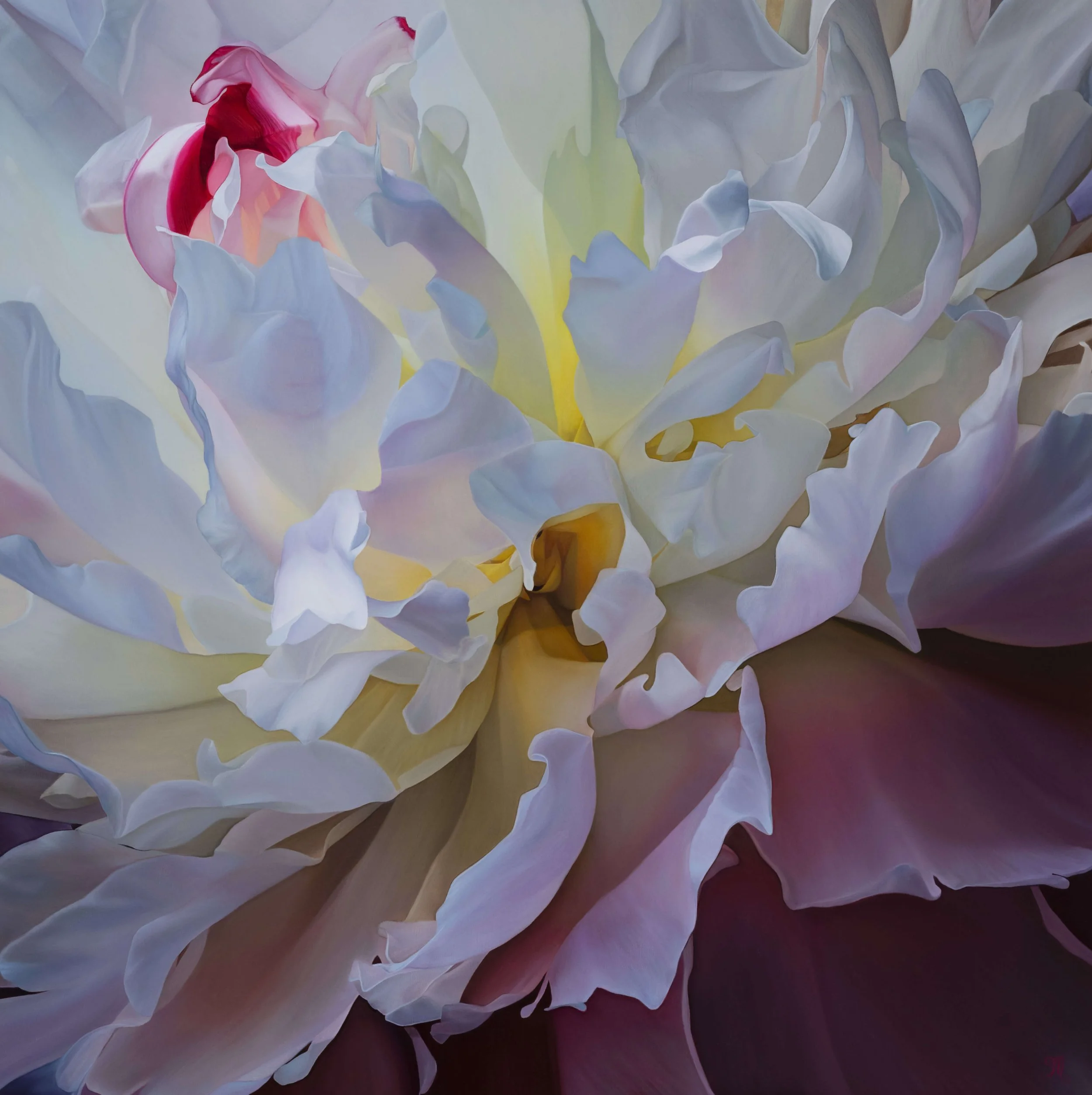 Image_2_Peony_13_TMFA_Crop.jpg