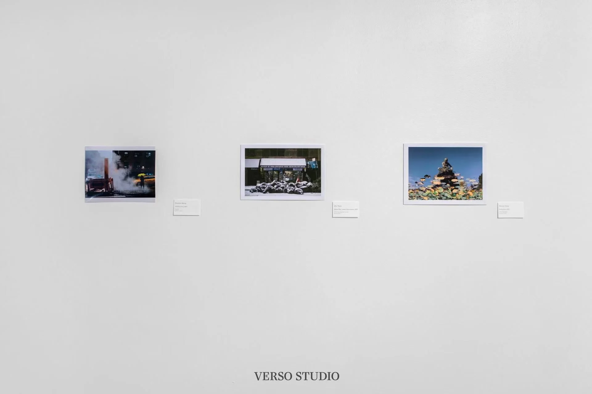 Image Only&nbsp;Curated by Huan Zhou at Verso Studio