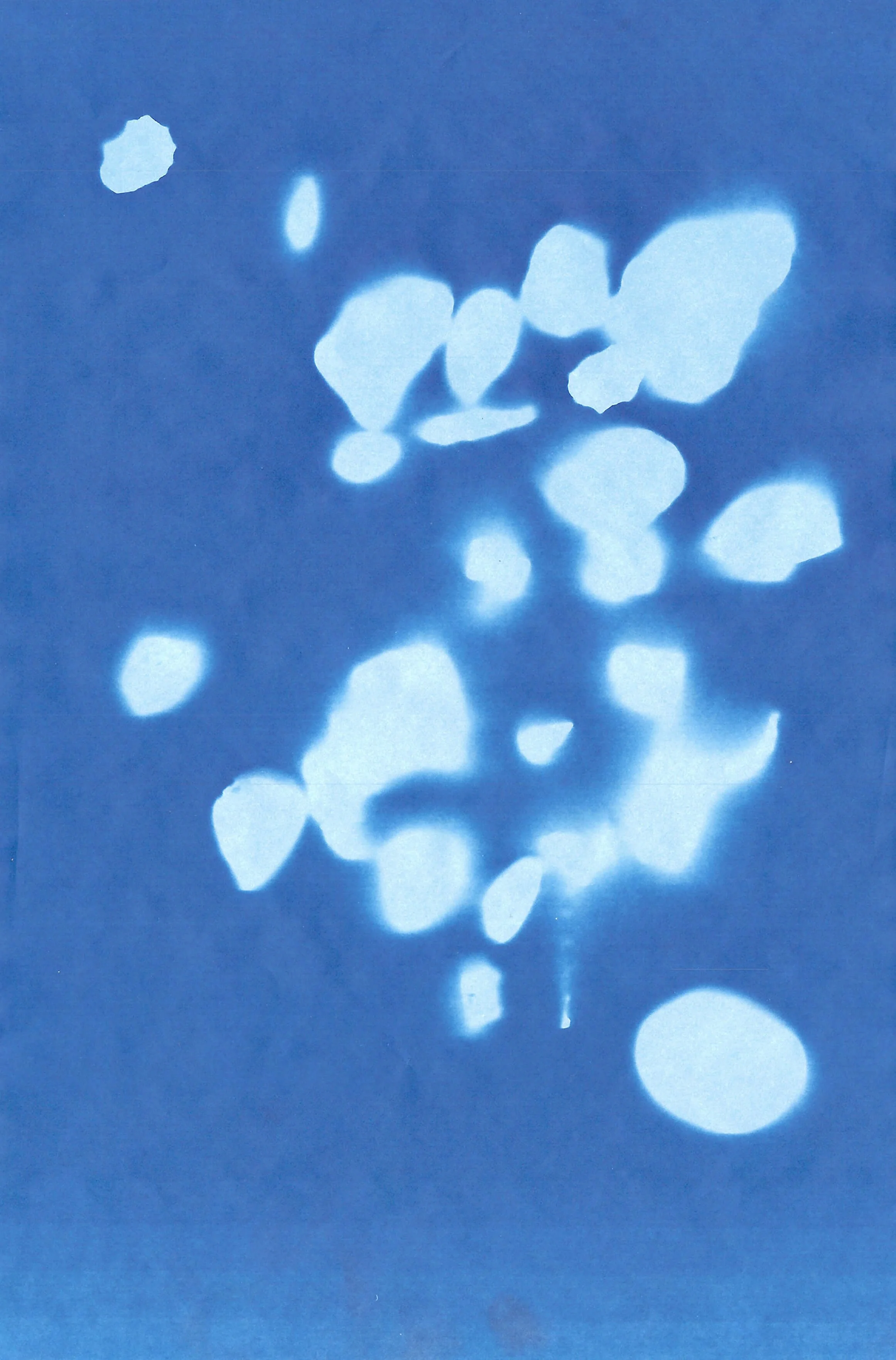 DeemaAlghunaim_CyanoFaalReading.jpg