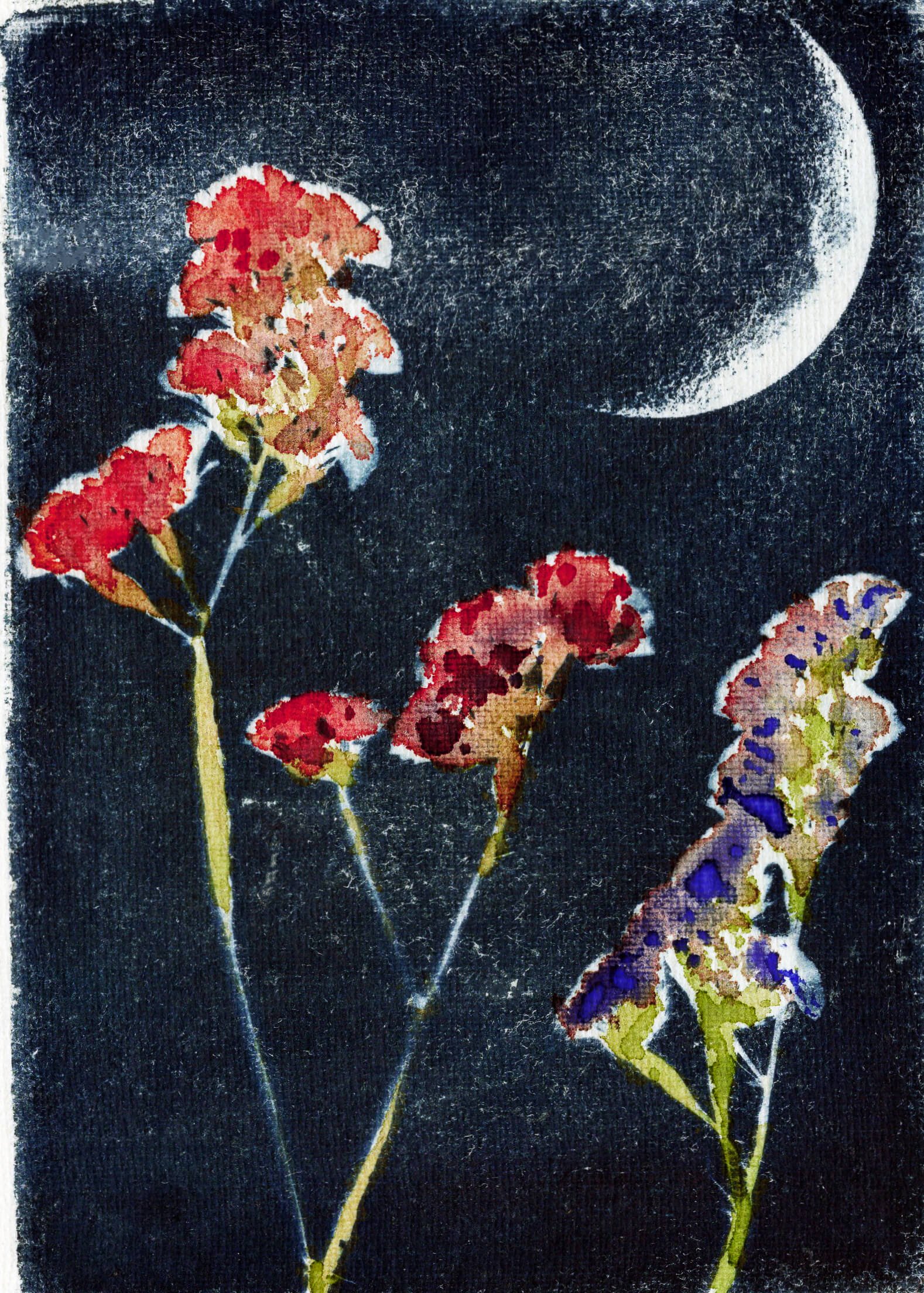 sea_lavender_in_moonlight_6x8.jpg
