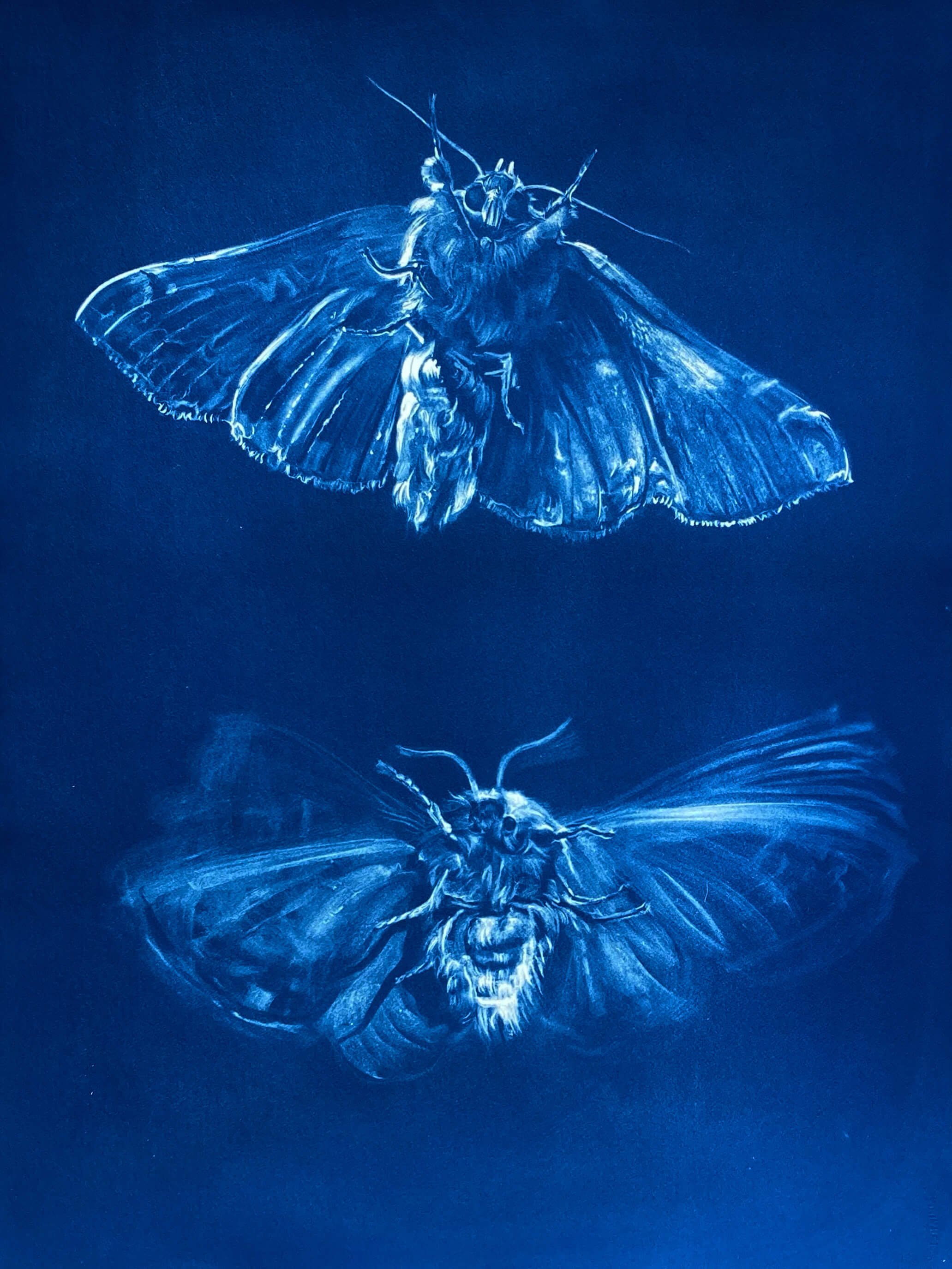 Podwoiski_Visitors_Cyanotype.jpeg